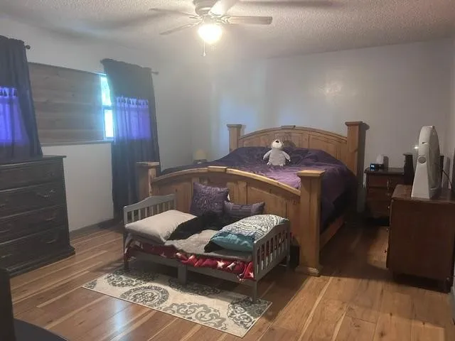 Single Family Residence For Sale in Grayson County , 1353 Beasley Boulevard, Whitewright, Texas 75491, 4 Bedroom, 3 Bathroom, 2 Garage spaces, 2,703 Sqft, built in 1970, mls#21390484, Real Estate Agent in Whitewright, Homes For Sale in Grayson county, Homes For Sale in Whitewright, Realtor in Whitewright Texas, Real Estate Brokerage Independent Realty Texas, Luminita Cordes Realtor