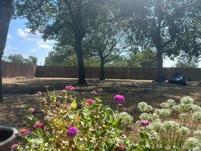 Single Family Residence For Sale in Grayson County , 1353 Beasley Boulevard, Whitewright, Texas 75491, 4 Bedroom, 3 Bathroom, 2 Garage spaces, 2,703 Sqft, built in 1970, mls#21390484, Real Estate Agent in Whitewright, Homes For Sale in Grayson county, Homes For Sale in Whitewright, Realtor in Whitewright Texas, Real Estate Brokerage Independent Realty Texas, Luminita Cordes Realtor