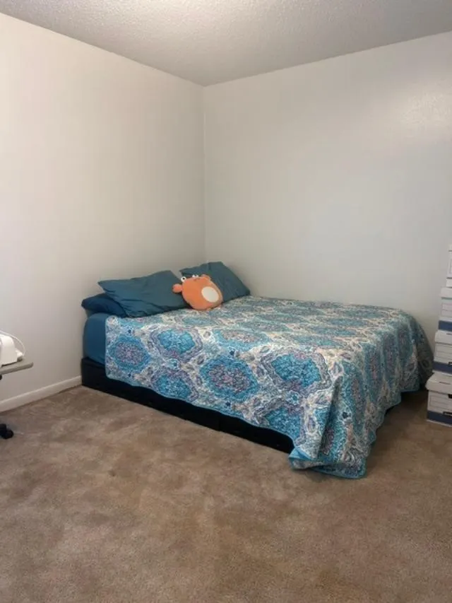 Single Family Residence For Sale in Grayson County , 1353 Beasley Boulevard, Whitewright, Texas 75491, 4 Bedroom, 3 Bathroom, 2 Garage spaces, 2,703 Sqft, built in 1970, mls#21390484, Real Estate Agent in Whitewright, Homes For Sale in Grayson county, Homes For Sale in Whitewright, Realtor in Whitewright Texas, Real Estate Brokerage Independent Realty Texas, Luminita Cordes Realtor