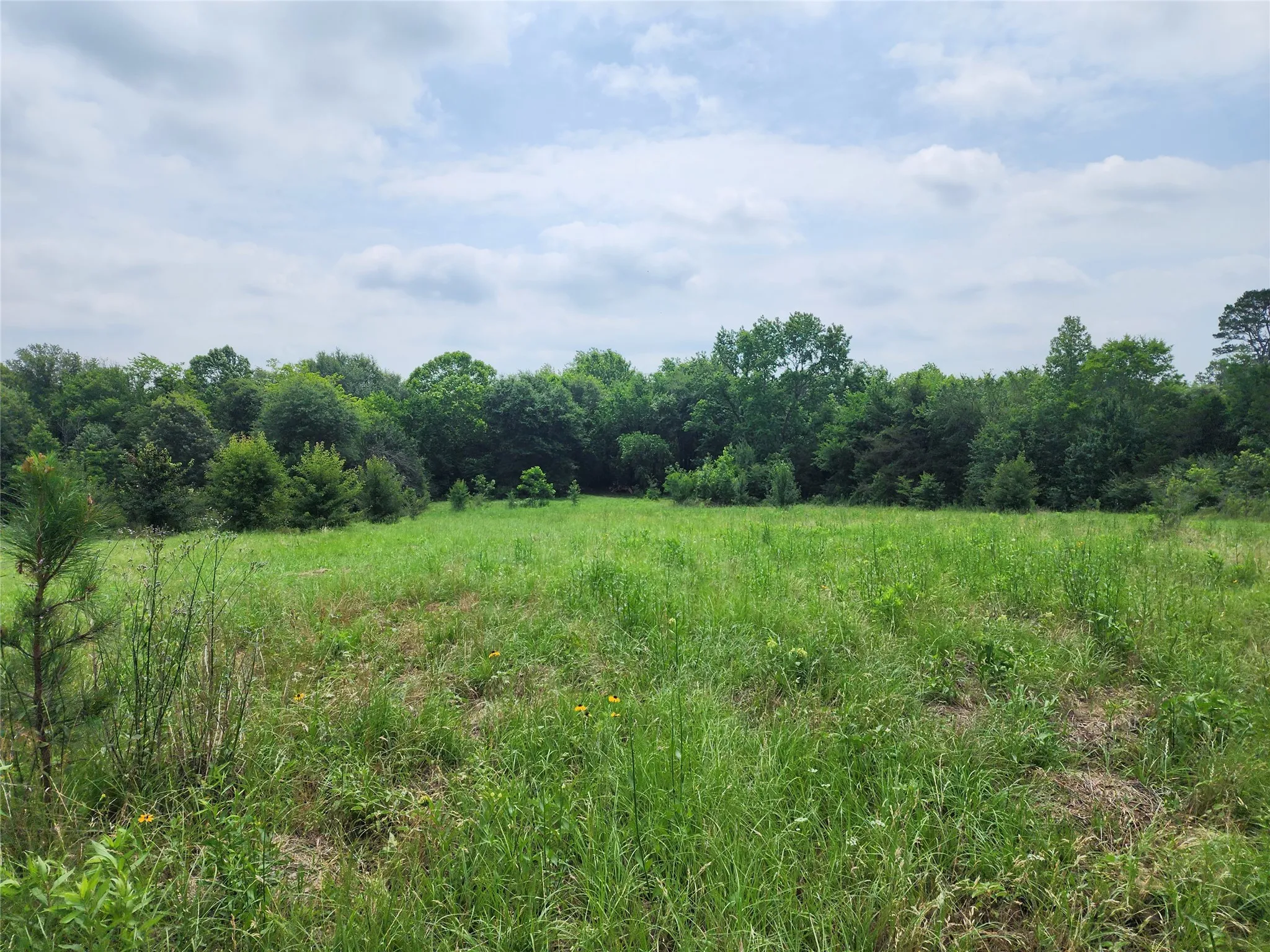 Unimproved Land For Sale in Wood County , 0001 S Hwy 69, Mineola, Texas 75773, 0, 0, Garage spaces, 0 Sqft, built in 0, mls#21392347, Real Estate Agent in Mineola, Homes For Sale in Wood county, Homes For Sale in Mineola, Realtor in Mineola Texas, Real Estate Brokerage Independent Realty Texas, Luminita Cordes Realtor