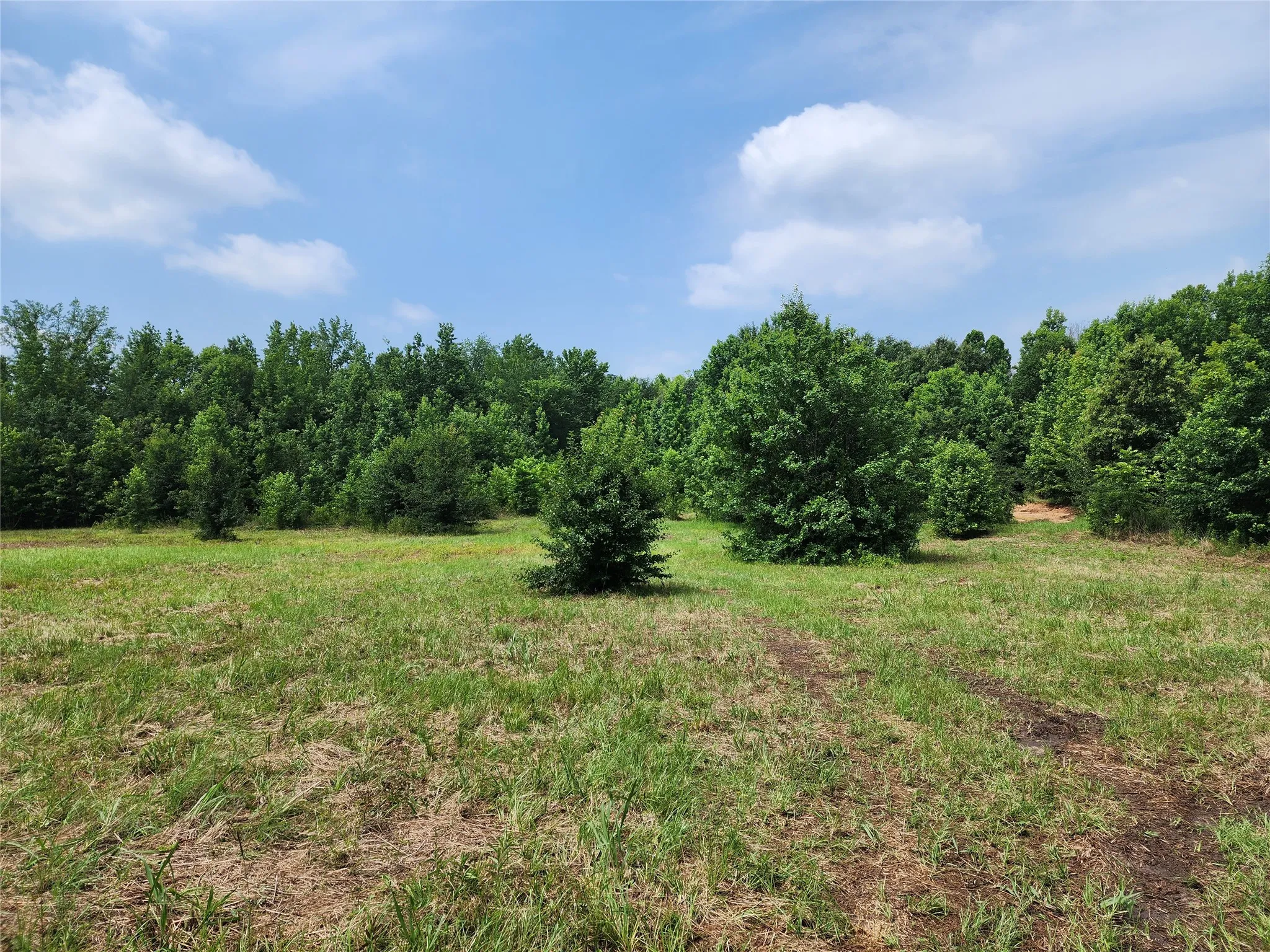 Unimproved Land For Sale in Wood County , 0001 S Hwy 69, Mineola, Texas 75773, 0, 0, Garage spaces, 0 Sqft, built in 0, mls#21392347, Real Estate Agent in Mineola, Homes For Sale in Wood county, Homes For Sale in Mineola, Realtor in Mineola Texas, Real Estate Brokerage Independent Realty Texas, Luminita Cordes Realtor