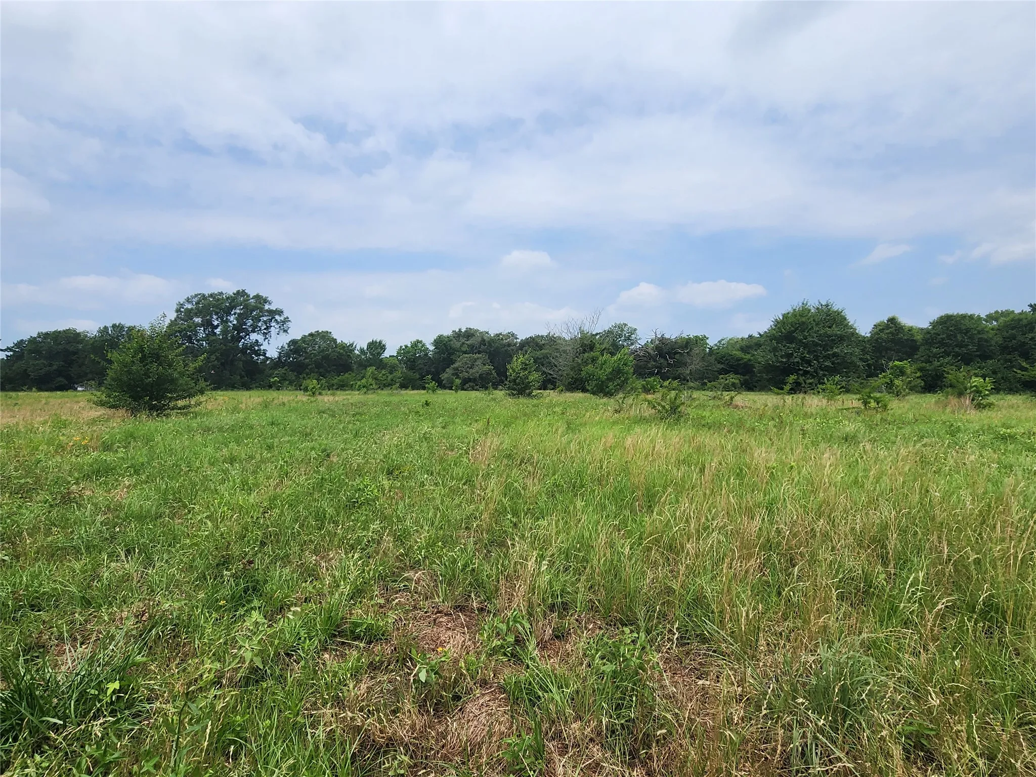 Unimproved Land For Sale in Wood County , 0001 S Hwy 69, Mineola, Texas 75773, 0, 0, Garage spaces, 0 Sqft, built in 0, mls#21392347, Real Estate Agent in Mineola, Homes For Sale in Wood county, Homes For Sale in Mineola, Realtor in Mineola Texas, Real Estate Brokerage Independent Realty Texas, Luminita Cordes Realtor