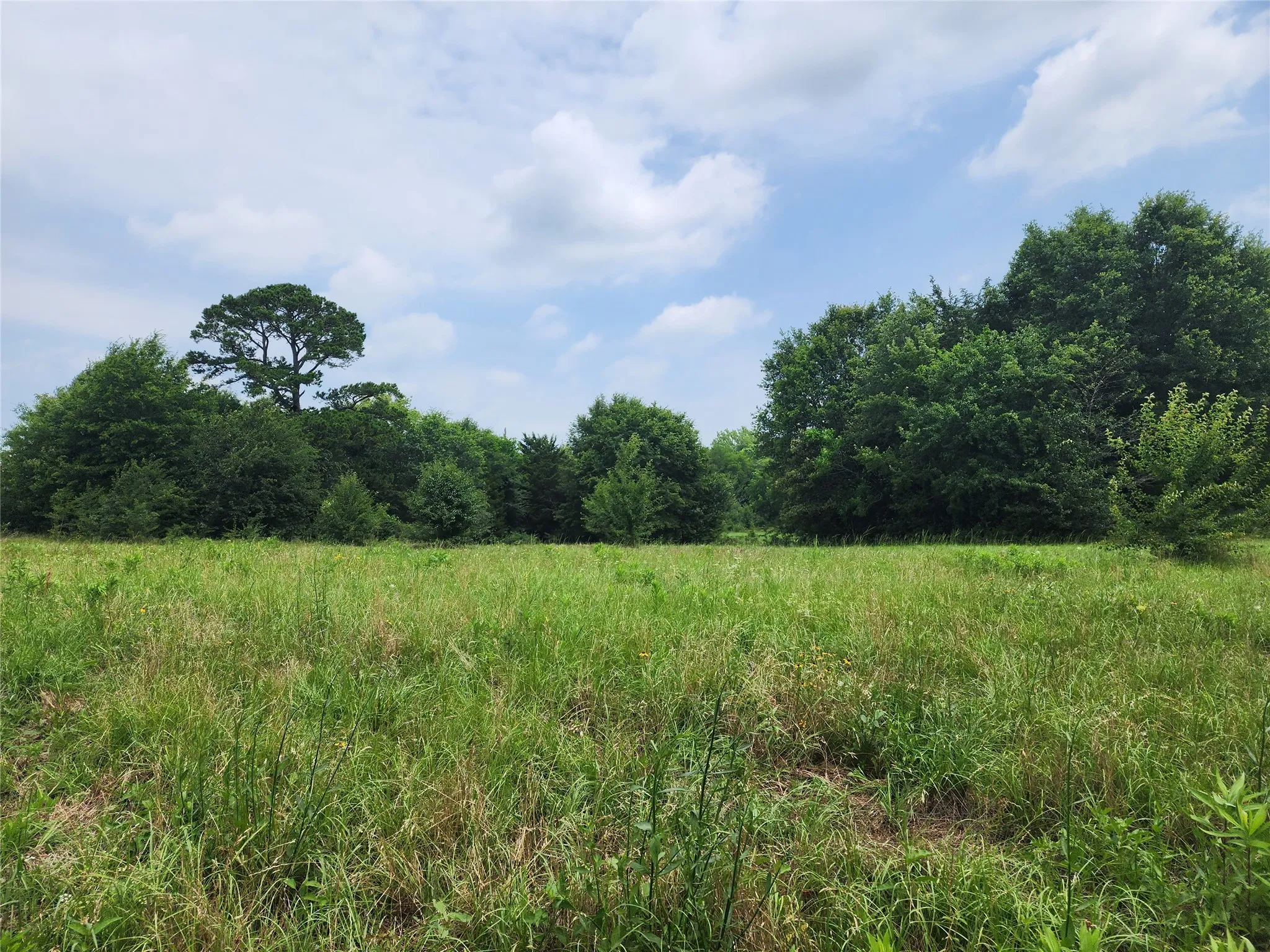 Unimproved Land For Sale in Wood County , 0001 S Hwy 69, Mineola, Texas 75773, 0, 0, Garage spaces, 0 Sqft, built in 0, mls#21392347, Real Estate Agent in Mineola, Homes For Sale in Wood county, Homes For Sale in Mineola, Realtor in Mineola Texas, Real Estate Brokerage Independent Realty Texas, Luminita Cordes Realtor