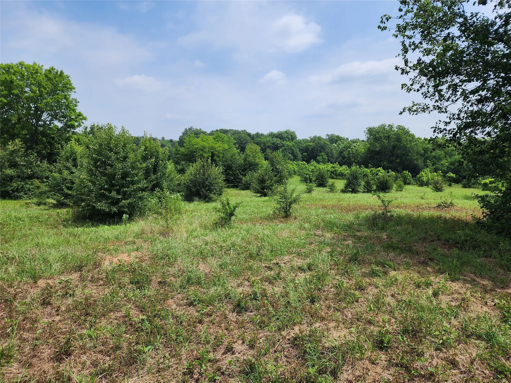 Unimproved Land For Sale in Wood County , 0001 S Hwy 69, Mineola, Texas 75773, 0, 0, Garage spaces, 0 Sqft, built in 0, mls#21392347, Real Estate Agent in Mineola, Homes For Sale in Wood county, Homes For Sale in Mineola, Realtor in Mineola Texas, Real Estate Brokerage Independent Realty Texas, Luminita Cordes Realtor