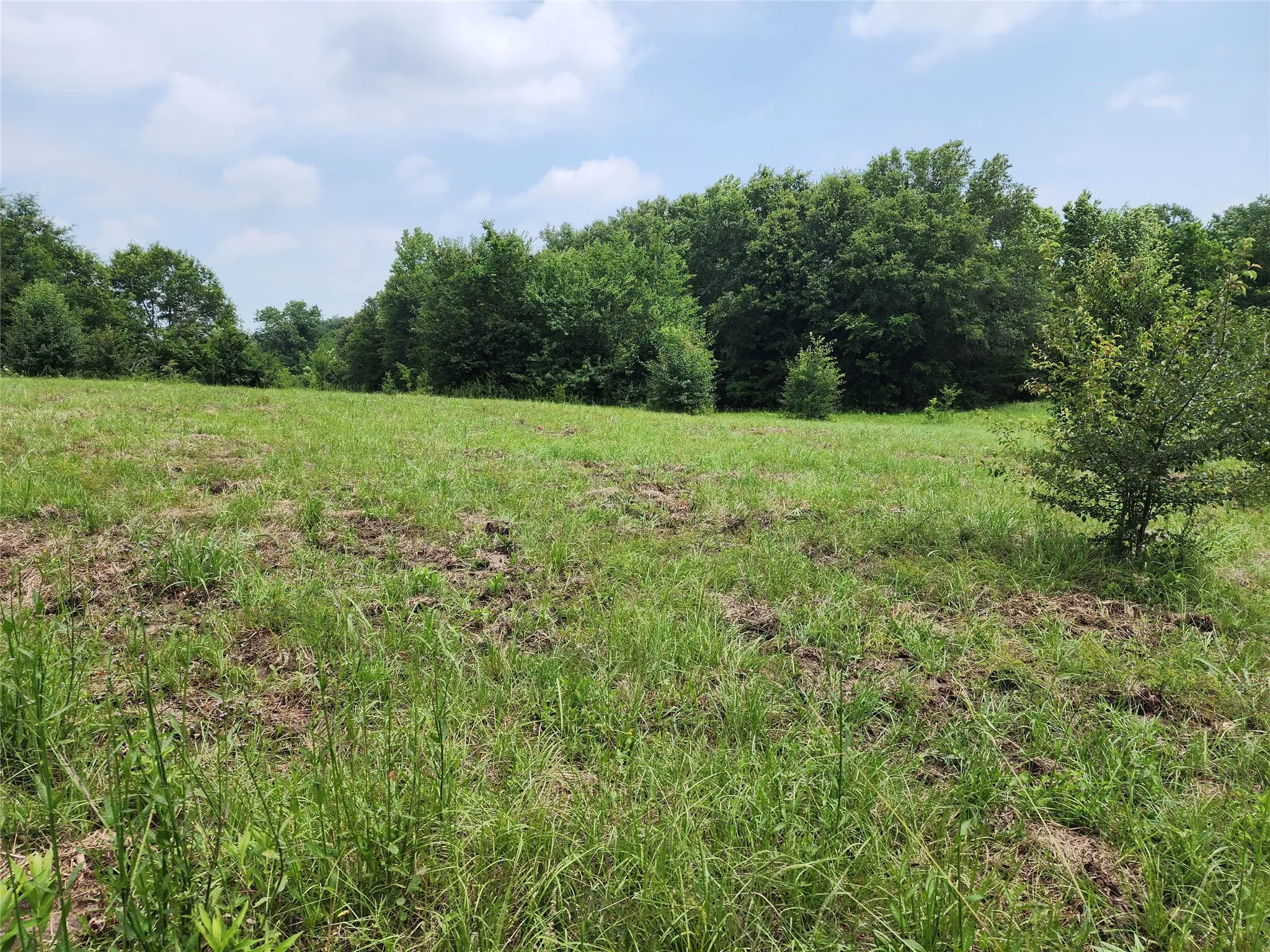 Unimproved Land For Sale in Wood County , 0001 S Hwy 69, Mineola, Texas 75773, 0, 0, Garage spaces, 0 Sqft, built in 0, mls#21392347, Real Estate Agent in Mineola, Homes For Sale in Wood county, Homes For Sale in Mineola, Realtor in Mineola Texas, Real Estate Brokerage Independent Realty Texas, Luminita Cordes Realtor