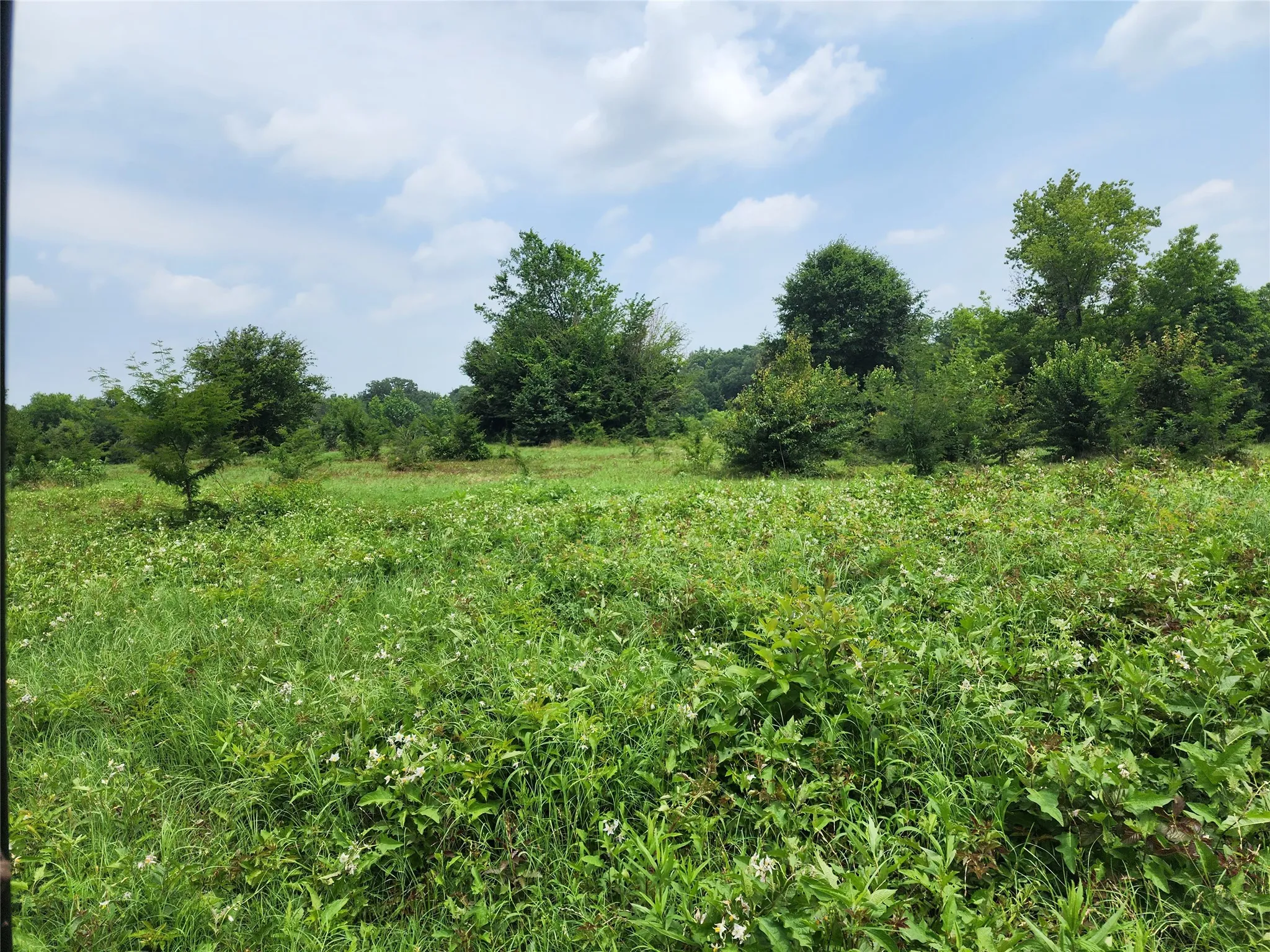 Unimproved Land For Sale in Wood County , 0001 S Hwy 69, Mineola, Texas 75773, 0, 0, Garage spaces, 0 Sqft, built in 0, mls#21392347, Real Estate Agent in Mineola, Homes For Sale in Wood county, Homes For Sale in Mineola, Realtor in Mineola Texas, Real Estate Brokerage Independent Realty Texas, Luminita Cordes Realtor