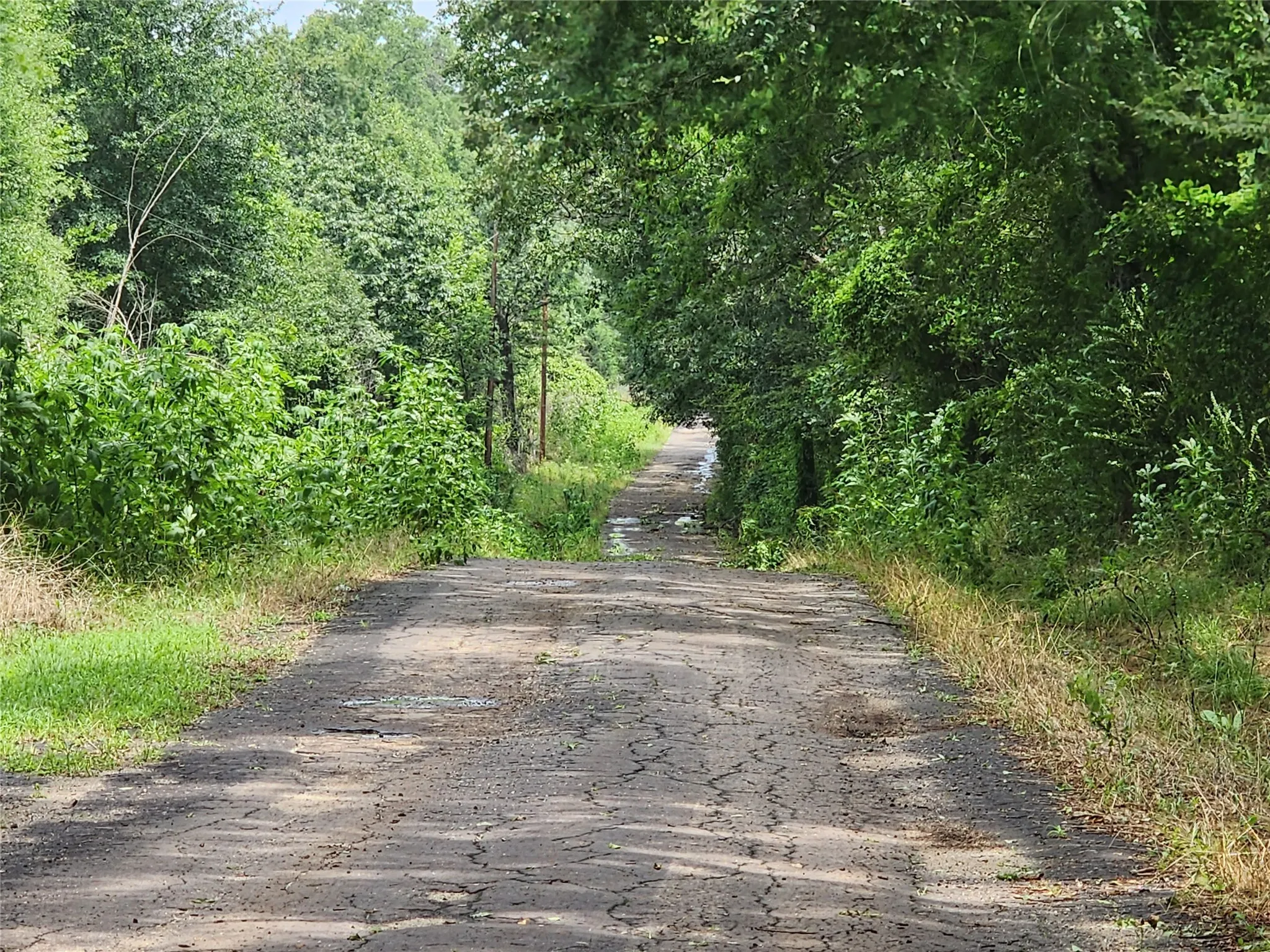Unimproved Land For Sale in Wood County , 0001 S Hwy 69, Mineola, Texas 75773, 0, 0, Garage spaces, 0 Sqft, built in 0, mls#21392347, Real Estate Agent in Mineola, Homes For Sale in Wood county, Homes For Sale in Mineola, Realtor in Mineola Texas, Real Estate Brokerage Independent Realty Texas, Luminita Cordes Realtor