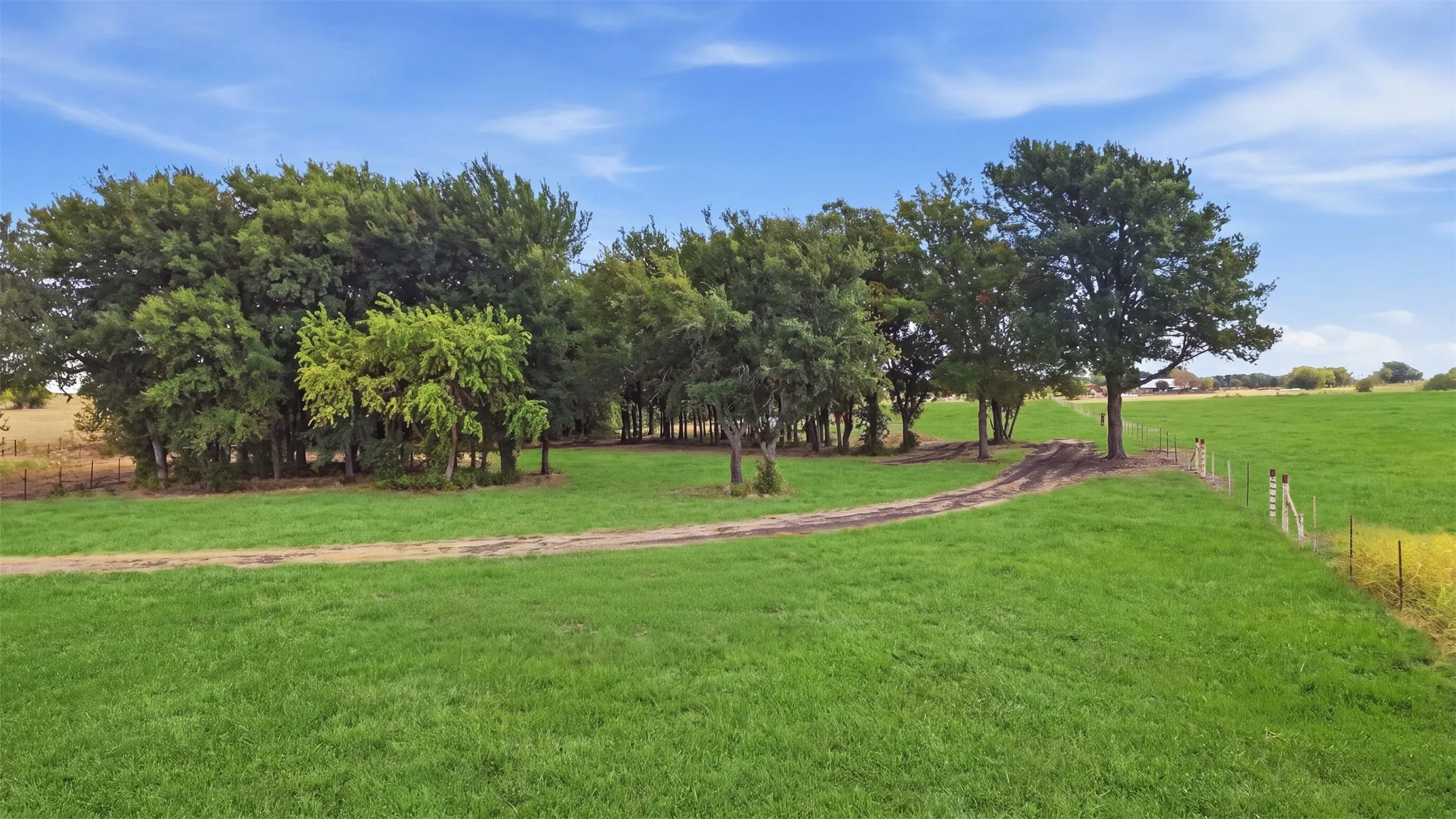 Expansive green pasture with a natural treeline and a winding dirt path