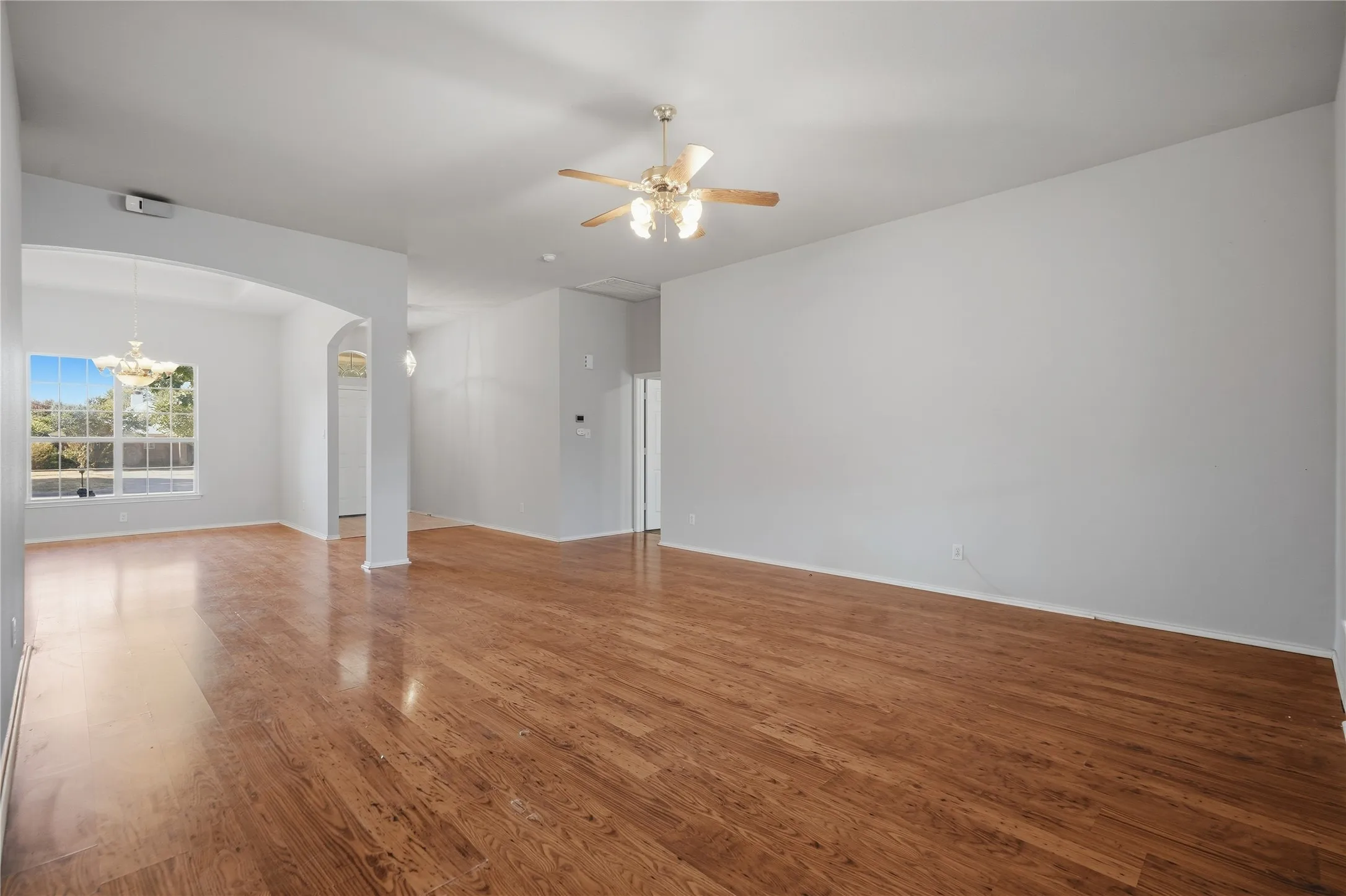 Expansive room with wood-finish flooring, light gray wall paint, and a ceiling fan