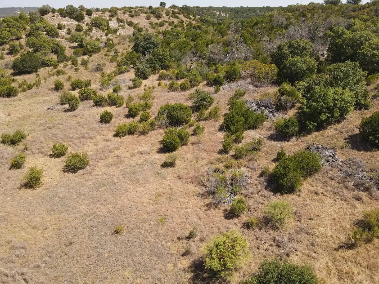 Unimproved Land For Sale in Somervell County , 2333 Hidden Valley Road, Glen Rose, Texas 76043, 0, 0, Garage spaces, 0 Sqft, built in 0, mls#21392348, Real Estate Agent in Glen Rose, Homes For Sale in Somervell county, Homes For Sale in Glen Rose, Realtor in Glen Rose Texas, Real Estate Brokerage Independent Realty Texas, Luminita Cordes Realtor