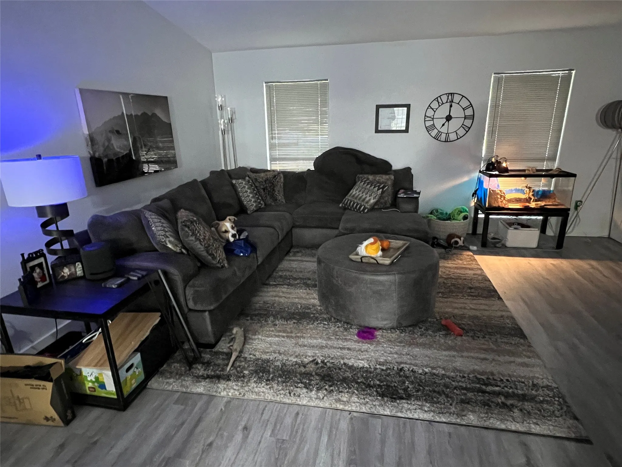 Single Family Residence For Rent in Denton County , 5640 Truitt Street, The Colony, Texas 75056, 3 Bedroom, 2 Bathroom, 2 Garage spaces, 1,711 Sqft, built in 1983, mls#21391450, Real Estate Agent in The Colony, Homes For Rent in Denton county, Homes For Rent in The Colony, Realtor in The Colony Texas, Real Estate Brokerage Independent Realty Texas, Luminita Cordes Realtor