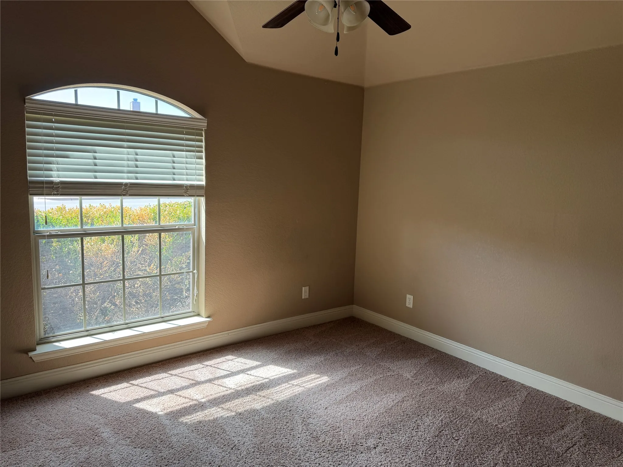 Arched window with blinds, ceiling fan, and textured carpet
