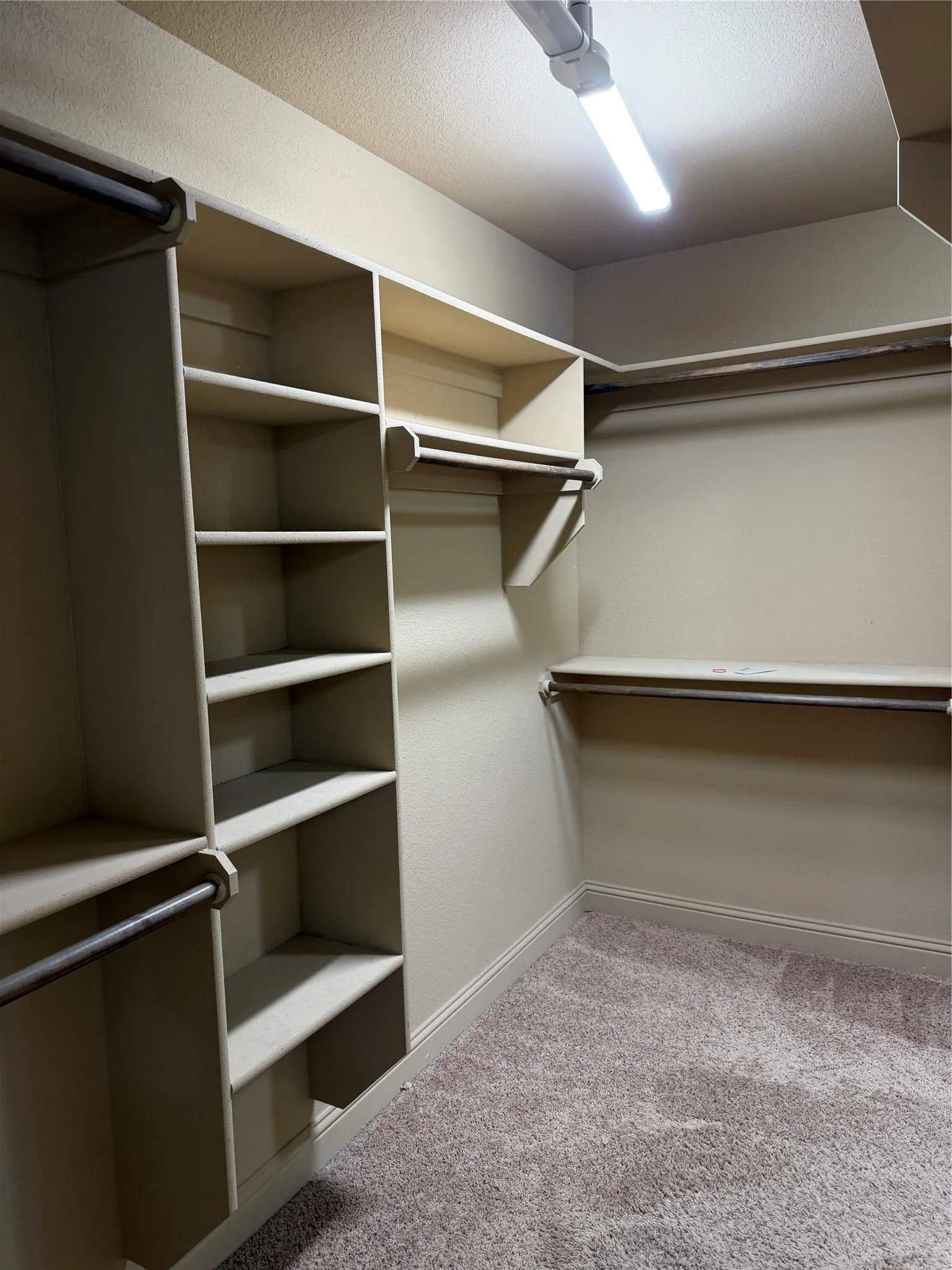 Built-in closet shelving, hanging rods, carpet flooring, and ceiling-mounted lighting