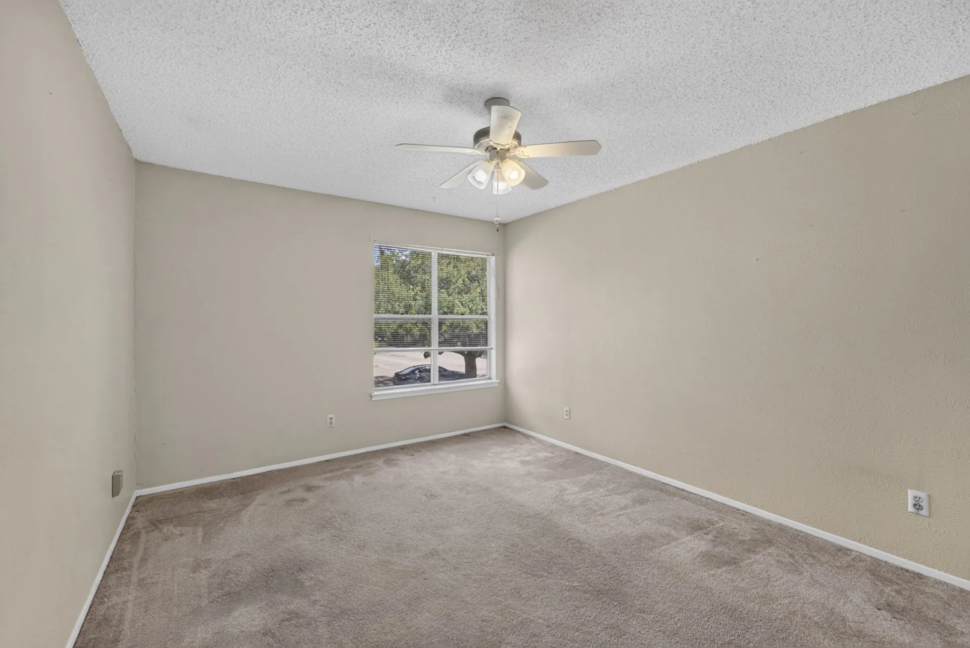 Neutral paint tones, carpet flooring, a ceiling fan, and a window