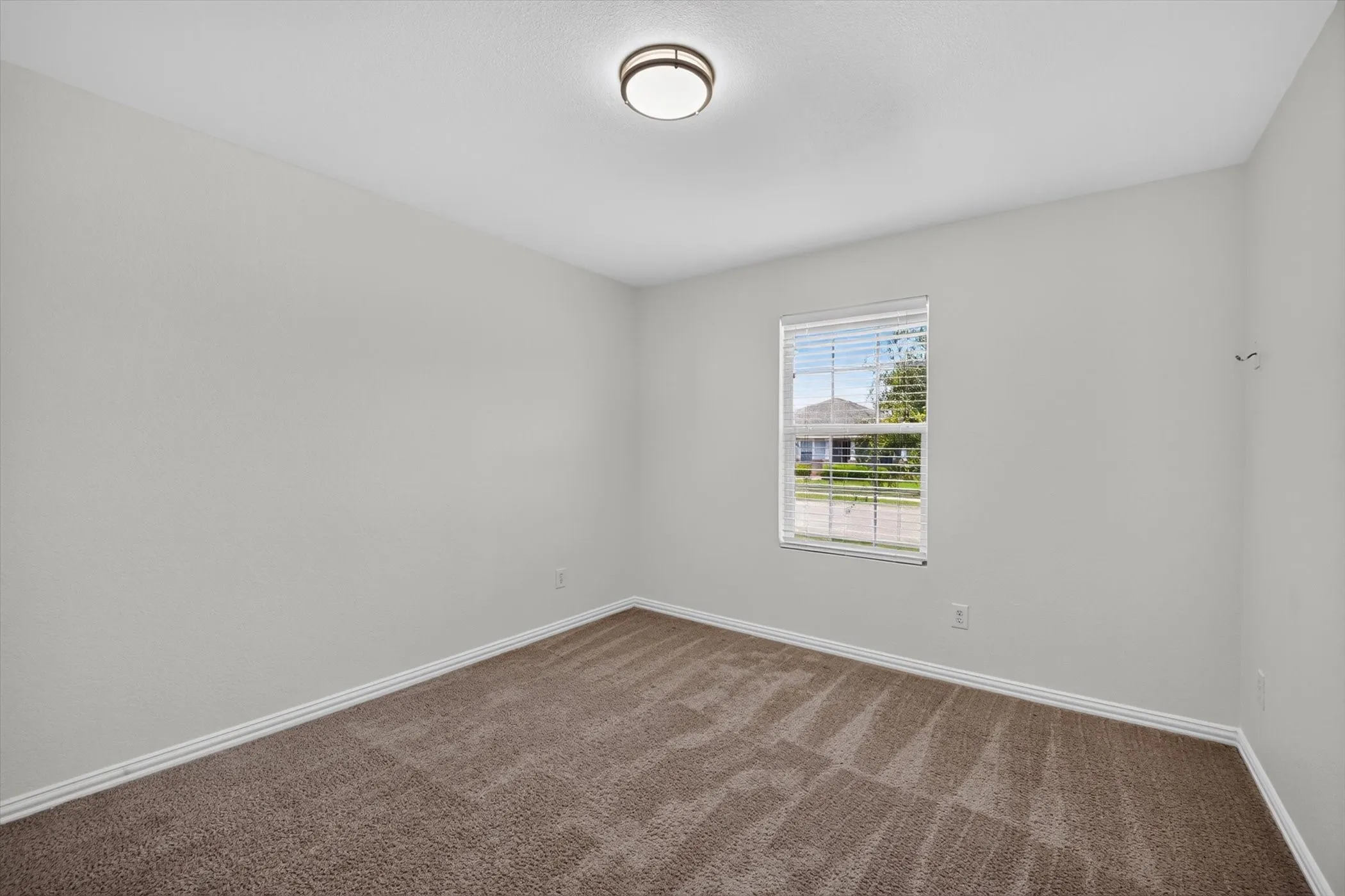 Brown carpet flooring