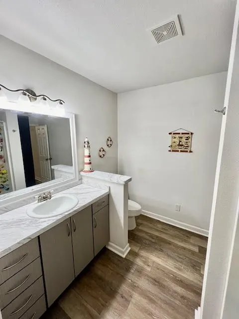 Bathroom featuring wood-finish flooring, a vanity with a white countertop and integrated sink, cabinet storage, and a separate commode area