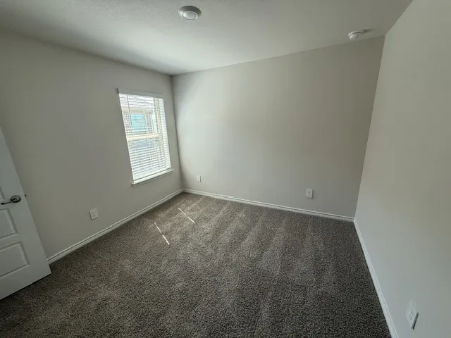 Neutral wall tones and gray carpet flooring