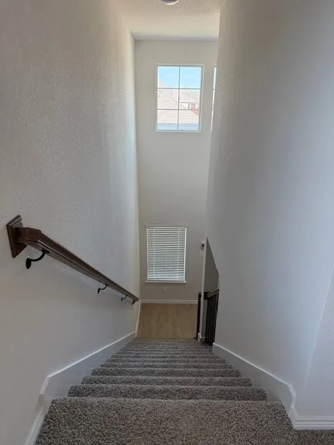Carpeted staircase with wood-finish handrail, architectural wall cut-out, and upper-level window