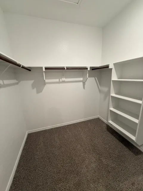 Walk-in closet featuring built-in shelving, dual hanging rods, and neutral-toned carpeting