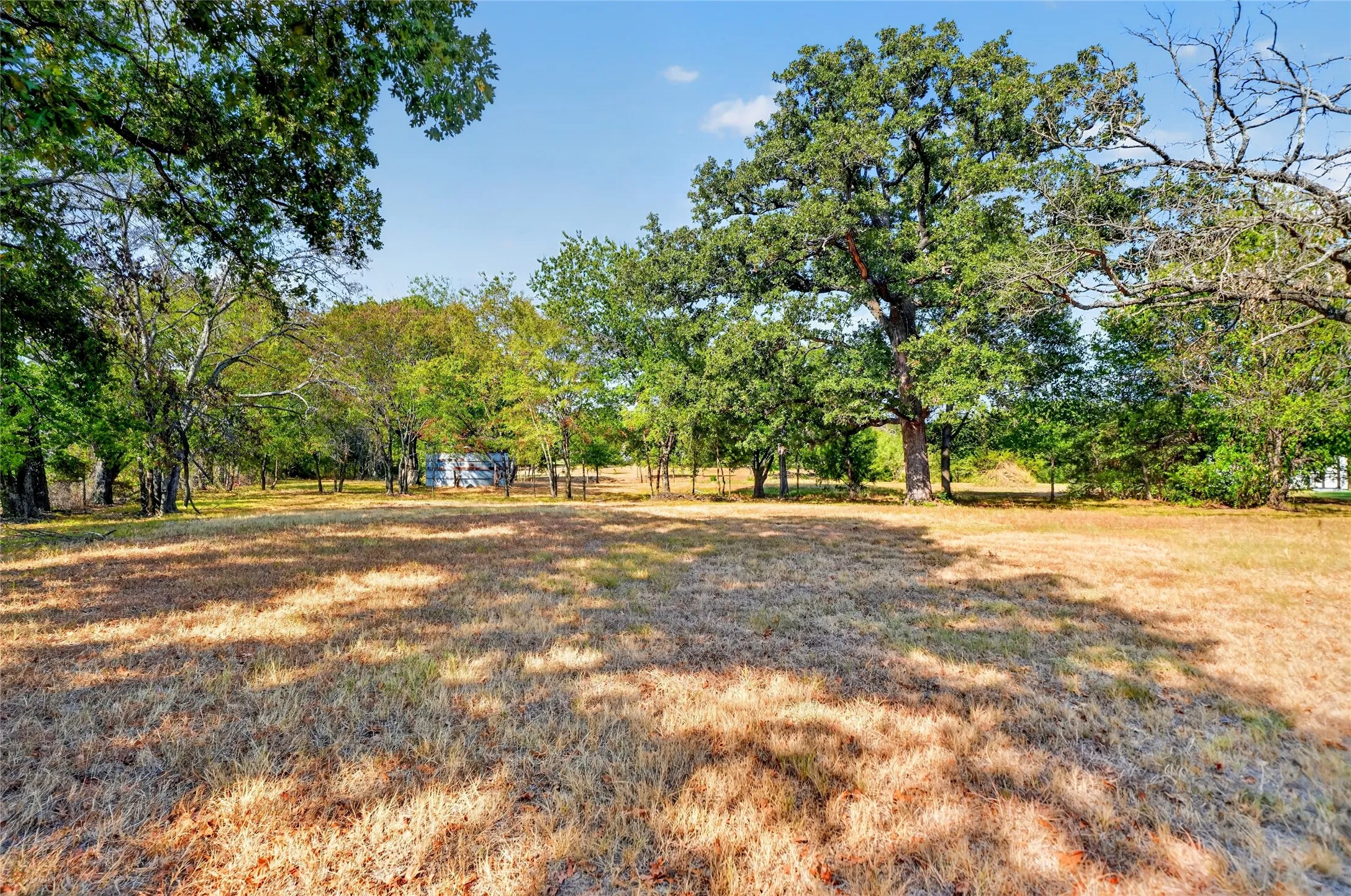 Rustic Silo + Wooded Acreage = Texas Character