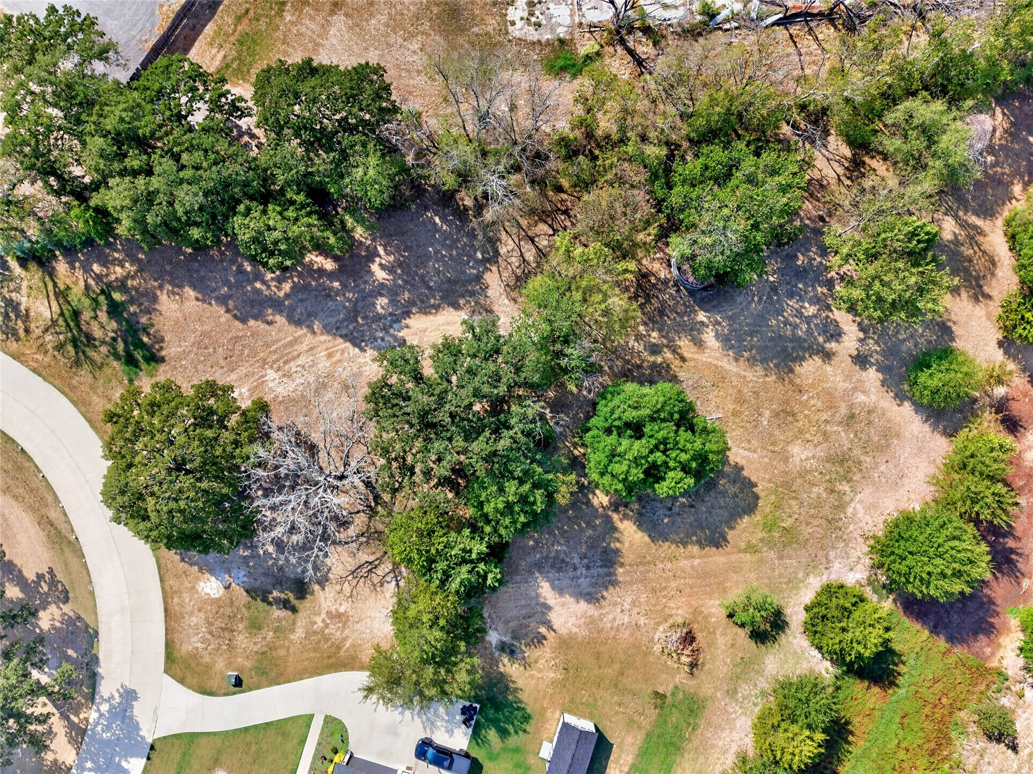 Texas Sunshine, Mature Trees & Open Space