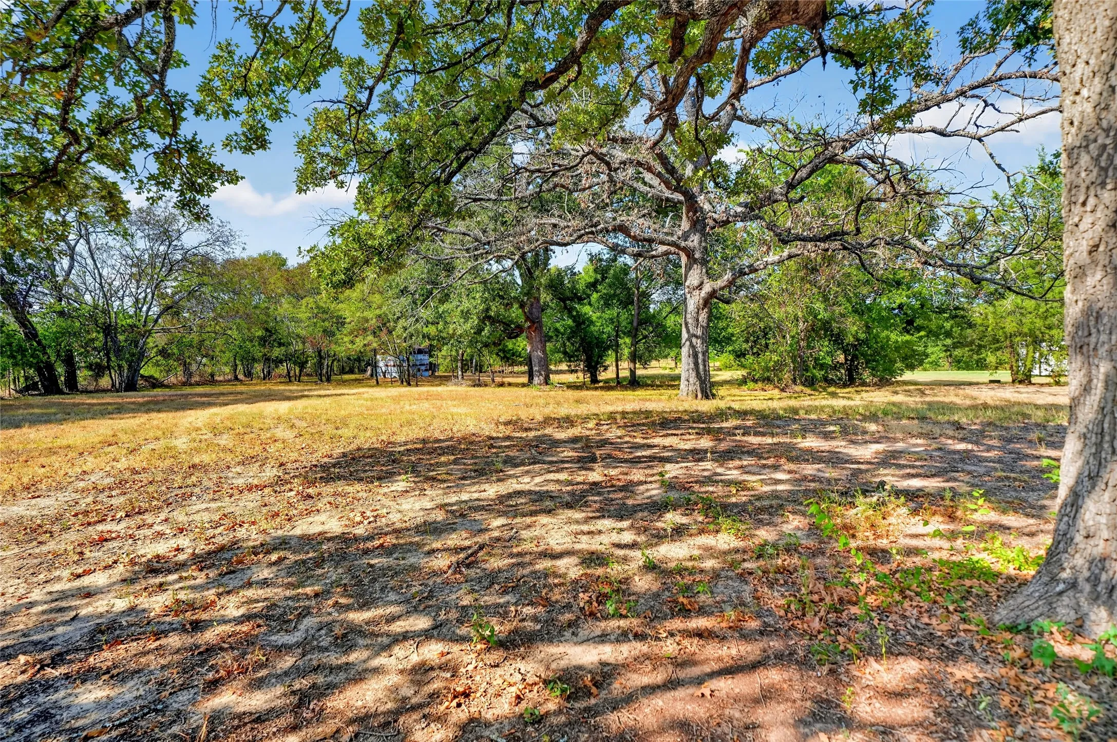 Space, Shade & Country Serenity