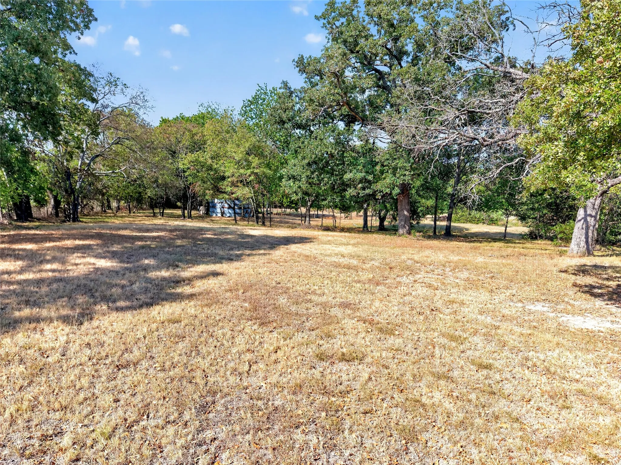 Beautiful Tree Canopy Throughout the Lot