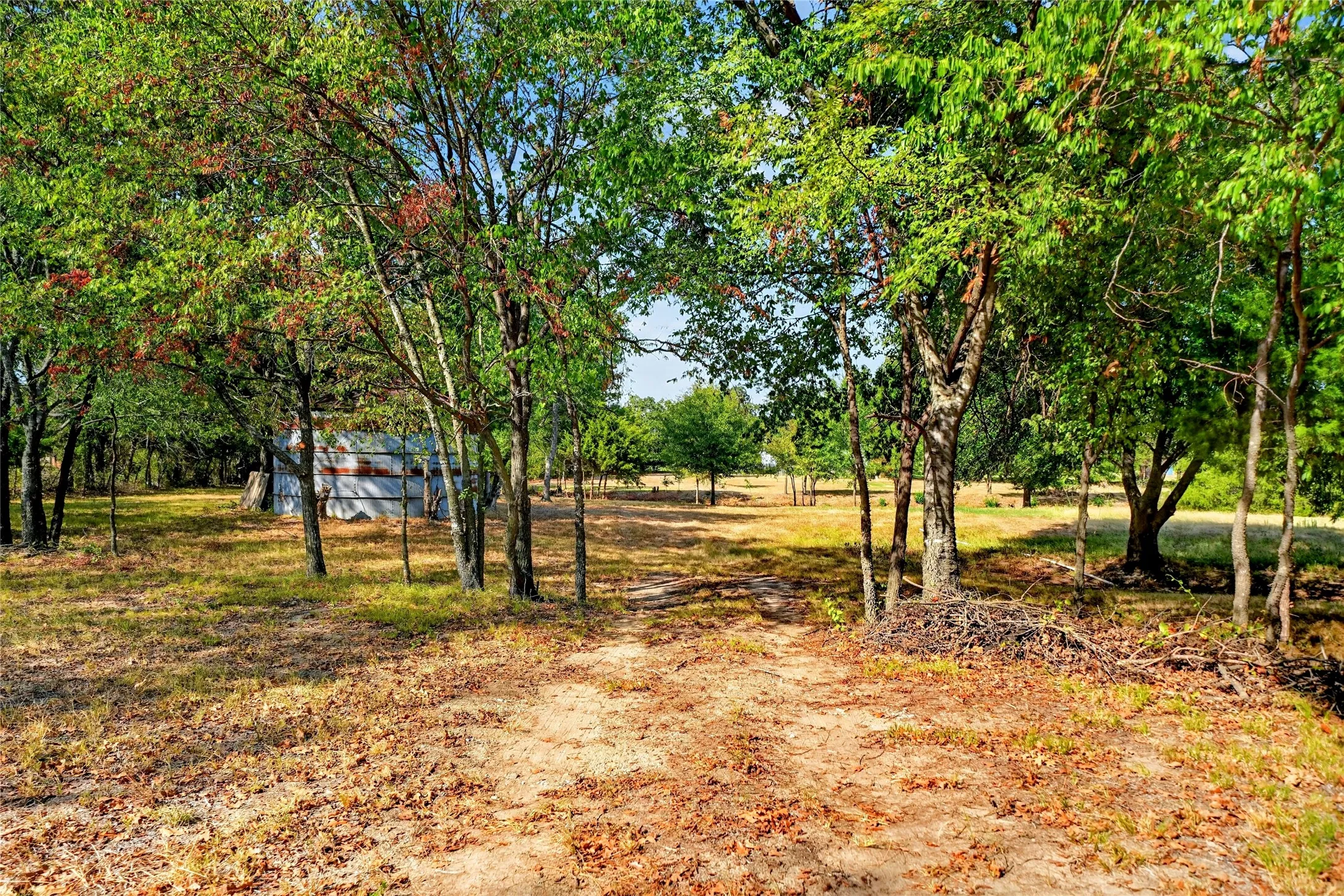 Peaceful Setting with Nature All Around