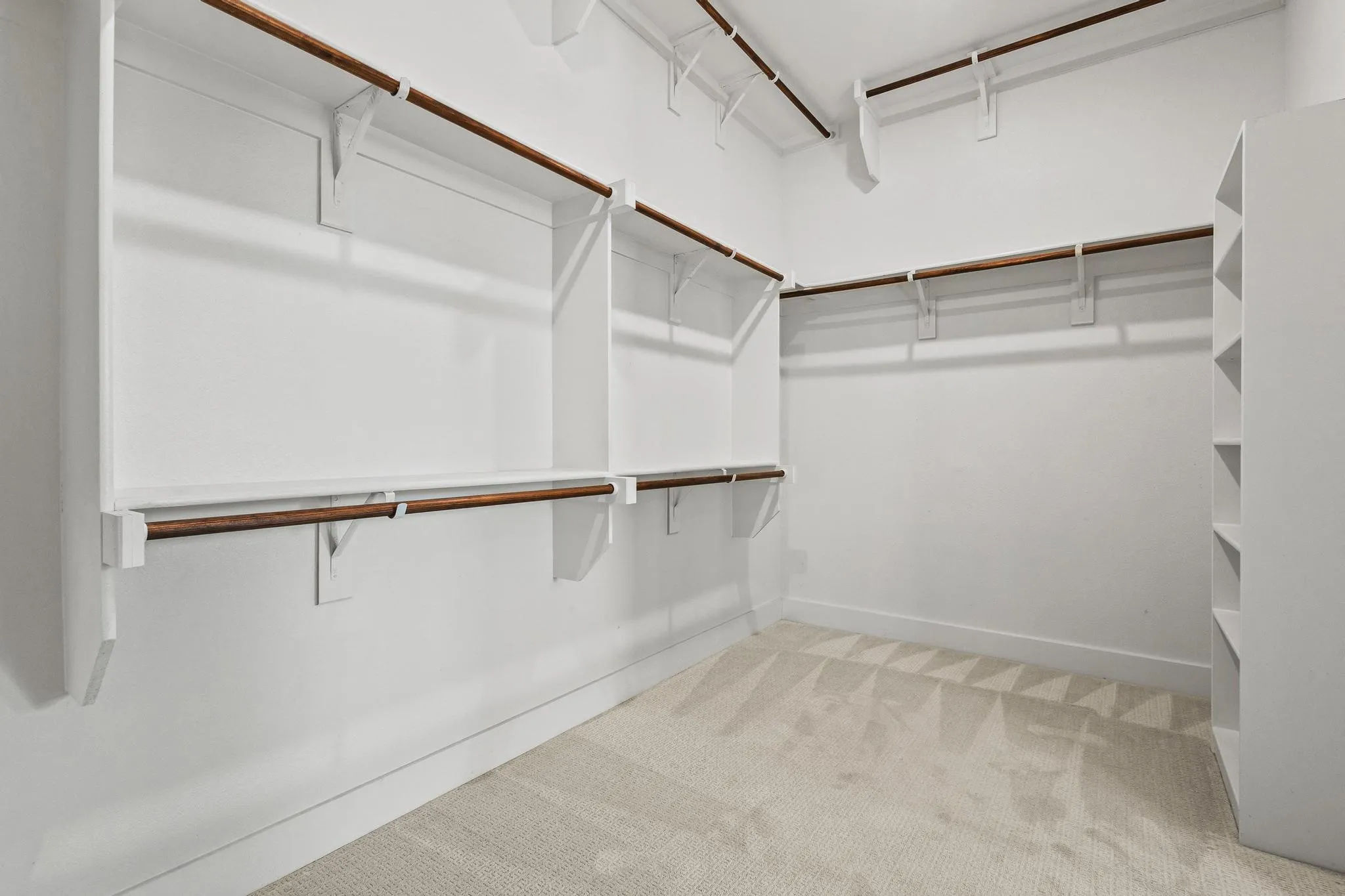 Spacious closet featuring light carpet