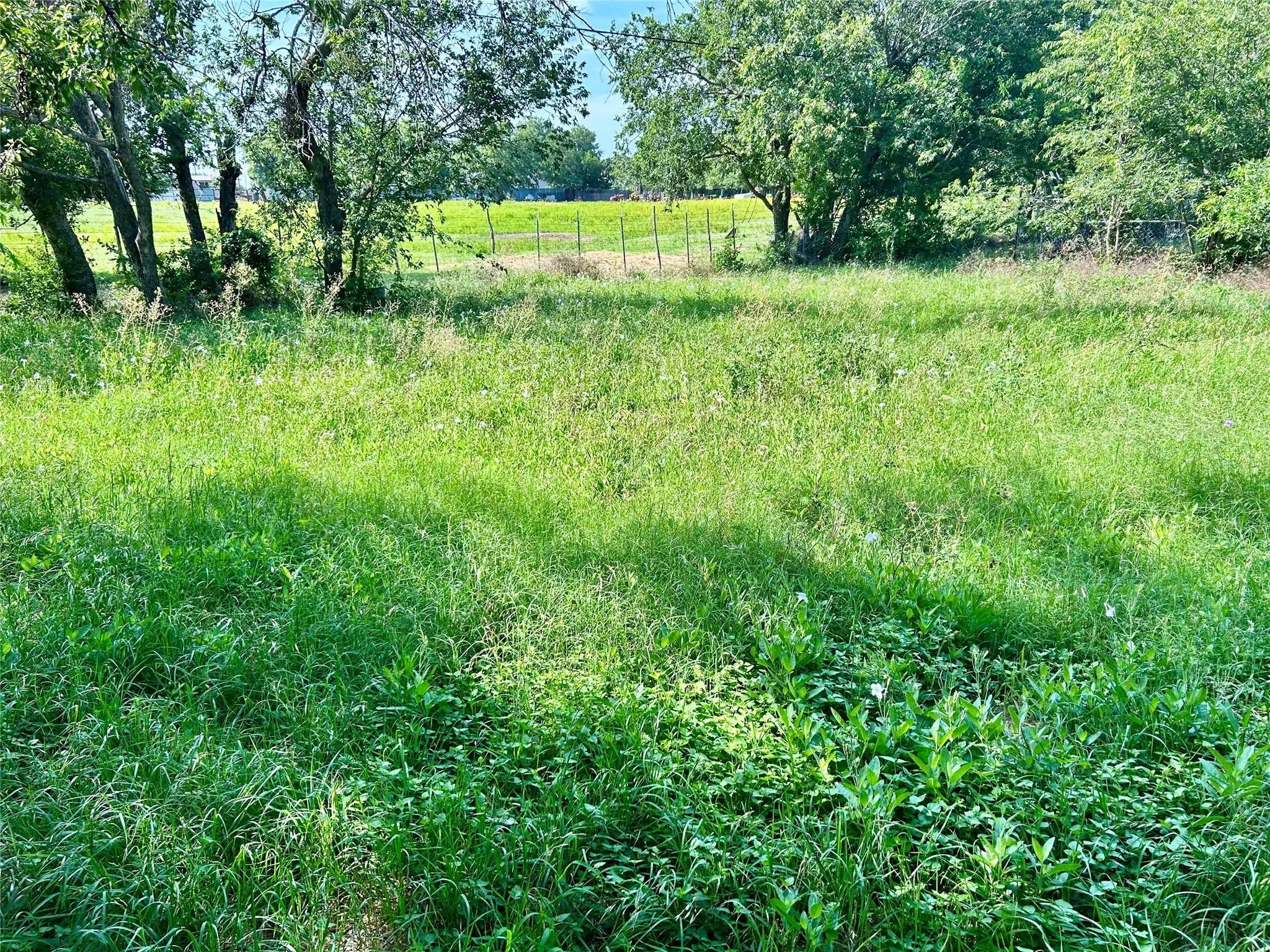 Single Family Residence For Sale in Brown County , 508 Parkway Drive, Brownwood, Texas 76801, 3 Bedroom, 1 Bathroom, Garage spaces, 1,446 Sqft, built in 0, mls#21392033, Real Estate Agent in Brownwood, Homes For Sale in Brown county, Homes For Sale in Brownwood, Realtor in Brownwood Texas, Real Estate Brokerage Independent Realty Texas, Luminita Cordes Realtor
