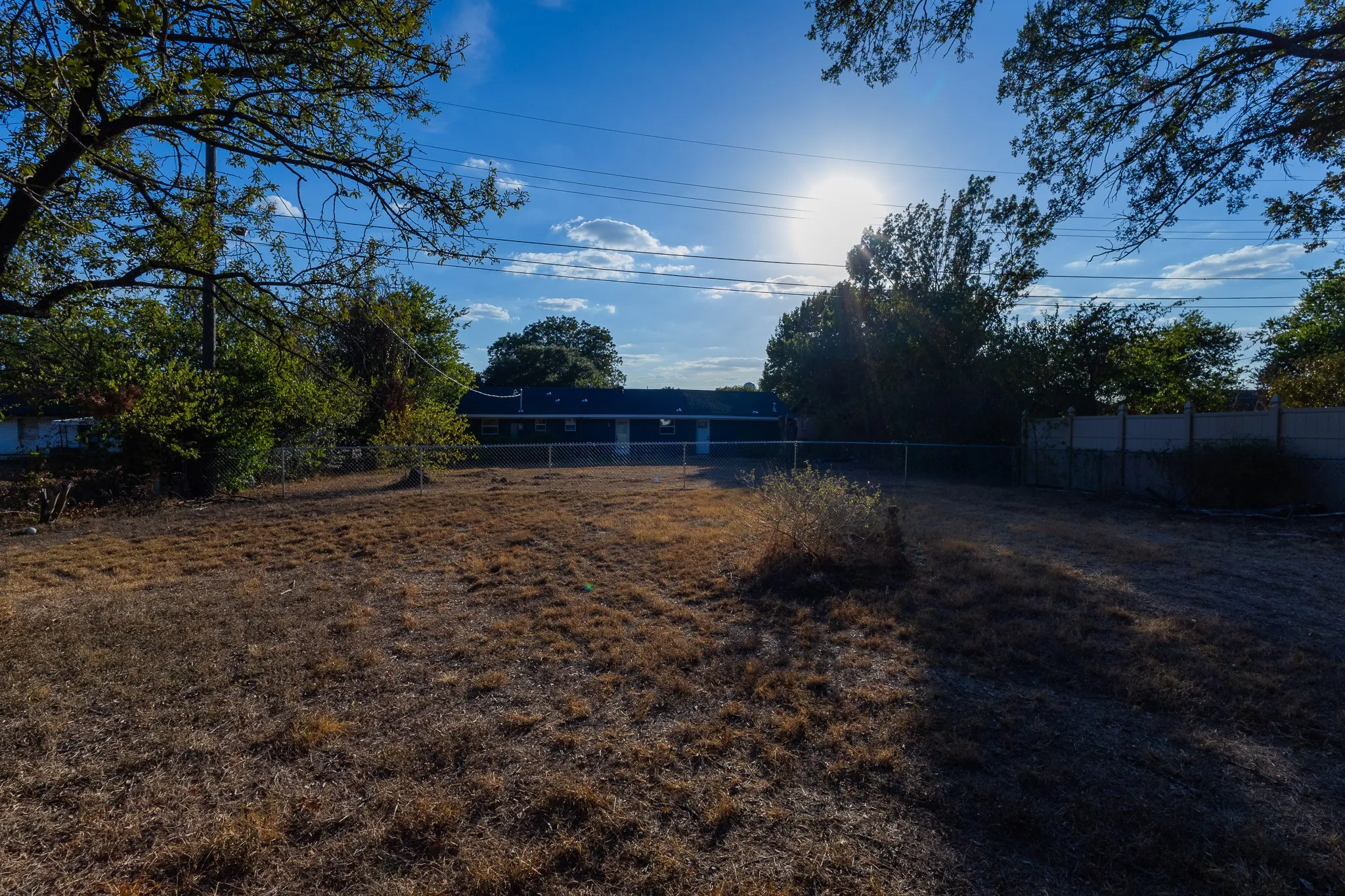 Expansive backyard with a chain-link fence and mature perimeter trees