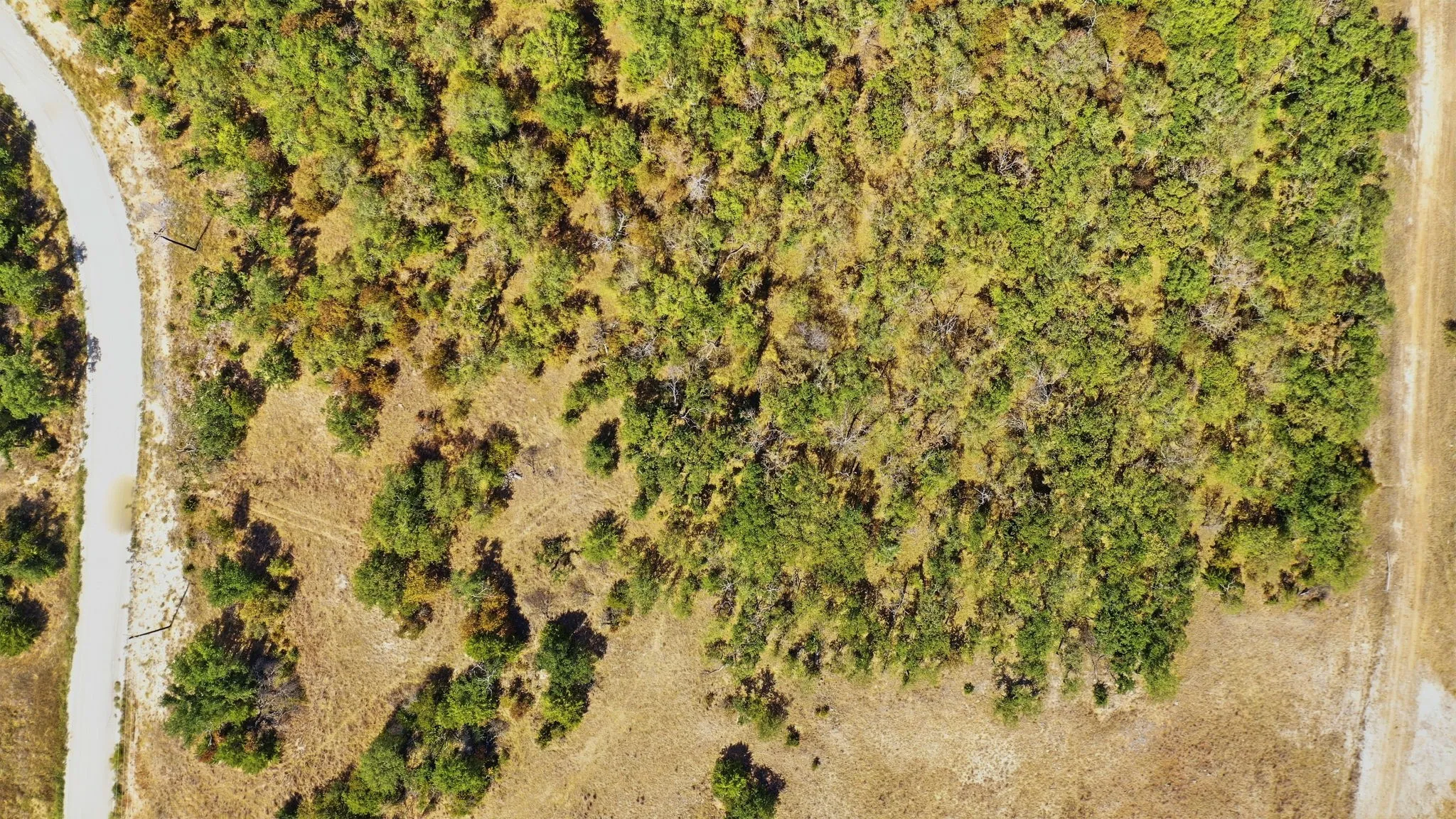 Unimproved Land For Sale in Montague County , 000 Red Oak Hills Road, Nocona, Texas 76255, 0, 0, Garage spaces, 0 Sqft, built in 0, mls#21390942, Real Estate Agent in Nocona, Homes For Sale in Montague county, Homes For Sale in Nocona, Realtor in Nocona Texas, Real Estate Brokerage Independent Realty Texas, Luminita Cordes Realtor