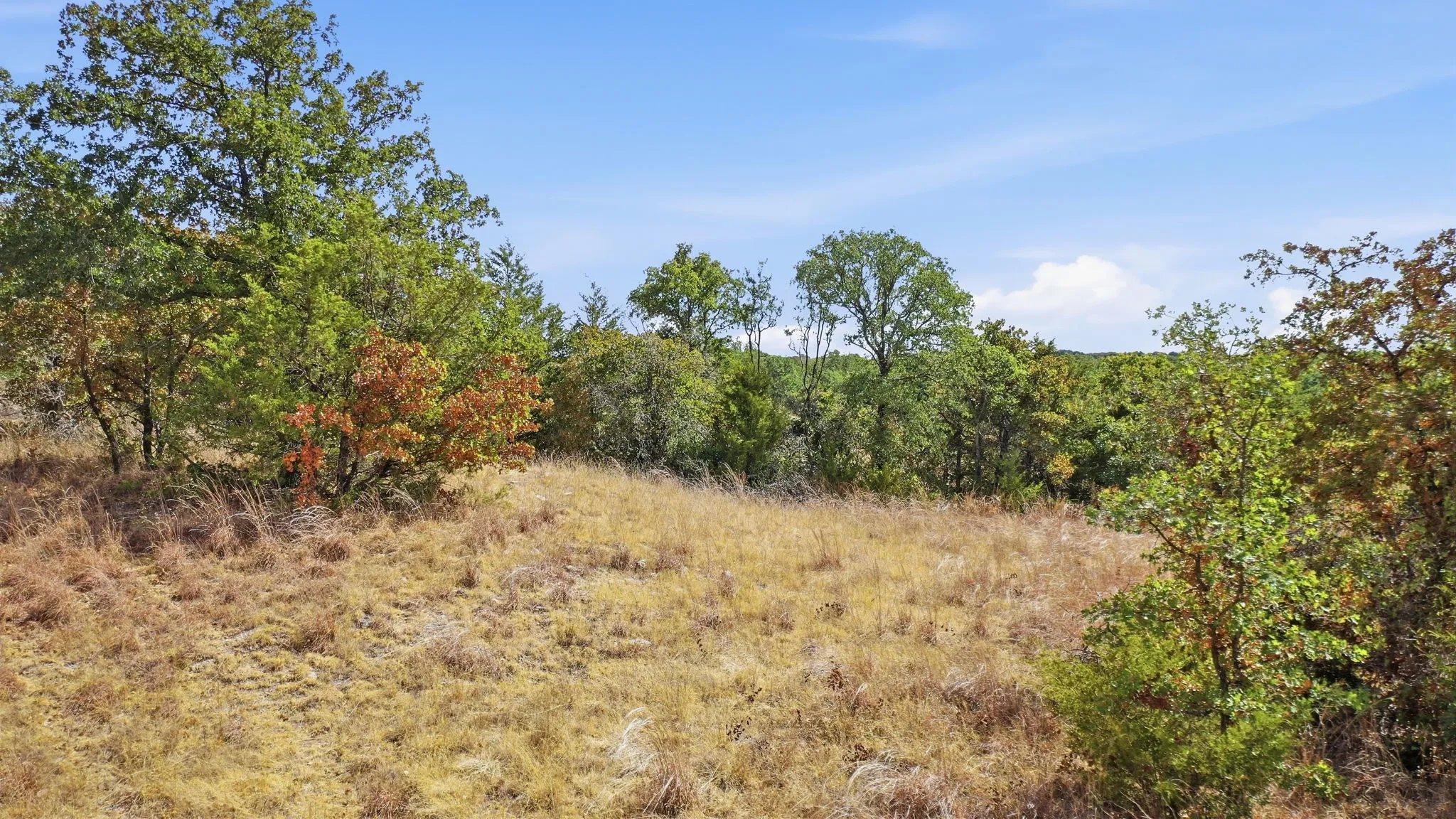 Unimproved Land For Sale in Montague County , 000 Red Oak Hills Road, Nocona, Texas 76255, 0, 0, Garage spaces, 0 Sqft, built in 0, mls#21390942, Real Estate Agent in Nocona, Homes For Sale in Montague county, Homes For Sale in Nocona, Realtor in Nocona Texas, Real Estate Brokerage Independent Realty Texas, Luminita Cordes Realtor