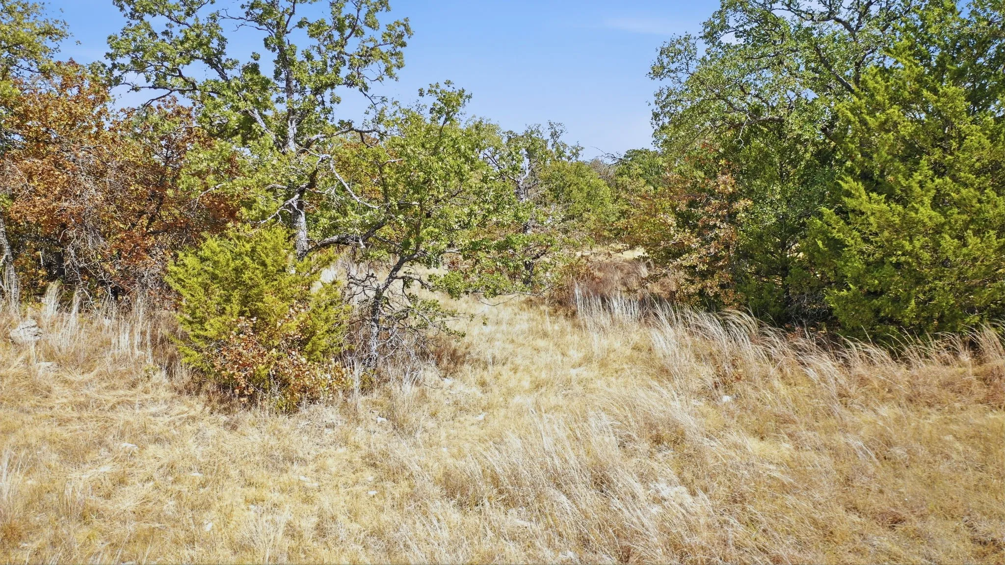 Unimproved Land For Sale in Montague County , 000 Red Oak Hills Road, Nocona, Texas 76255, 0, 0, Garage spaces, 0 Sqft, built in 0, mls#21390942, Real Estate Agent in Nocona, Homes For Sale in Montague county, Homes For Sale in Nocona, Realtor in Nocona Texas, Real Estate Brokerage Independent Realty Texas, Luminita Cordes Realtor
