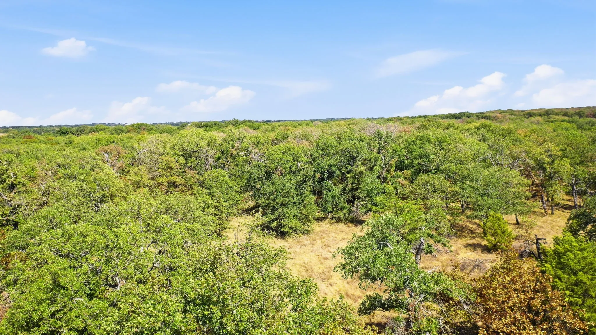 Unimproved Land For Sale in Montague County , 000 Red Oak Hills Road, Nocona, Texas 76255, 0, 0, Garage spaces, 0 Sqft, built in 0, mls#21390942, Real Estate Agent in Nocona, Homes For Sale in Montague county, Homes For Sale in Nocona, Realtor in Nocona Texas, Real Estate Brokerage Independent Realty Texas, Luminita Cordes Realtor