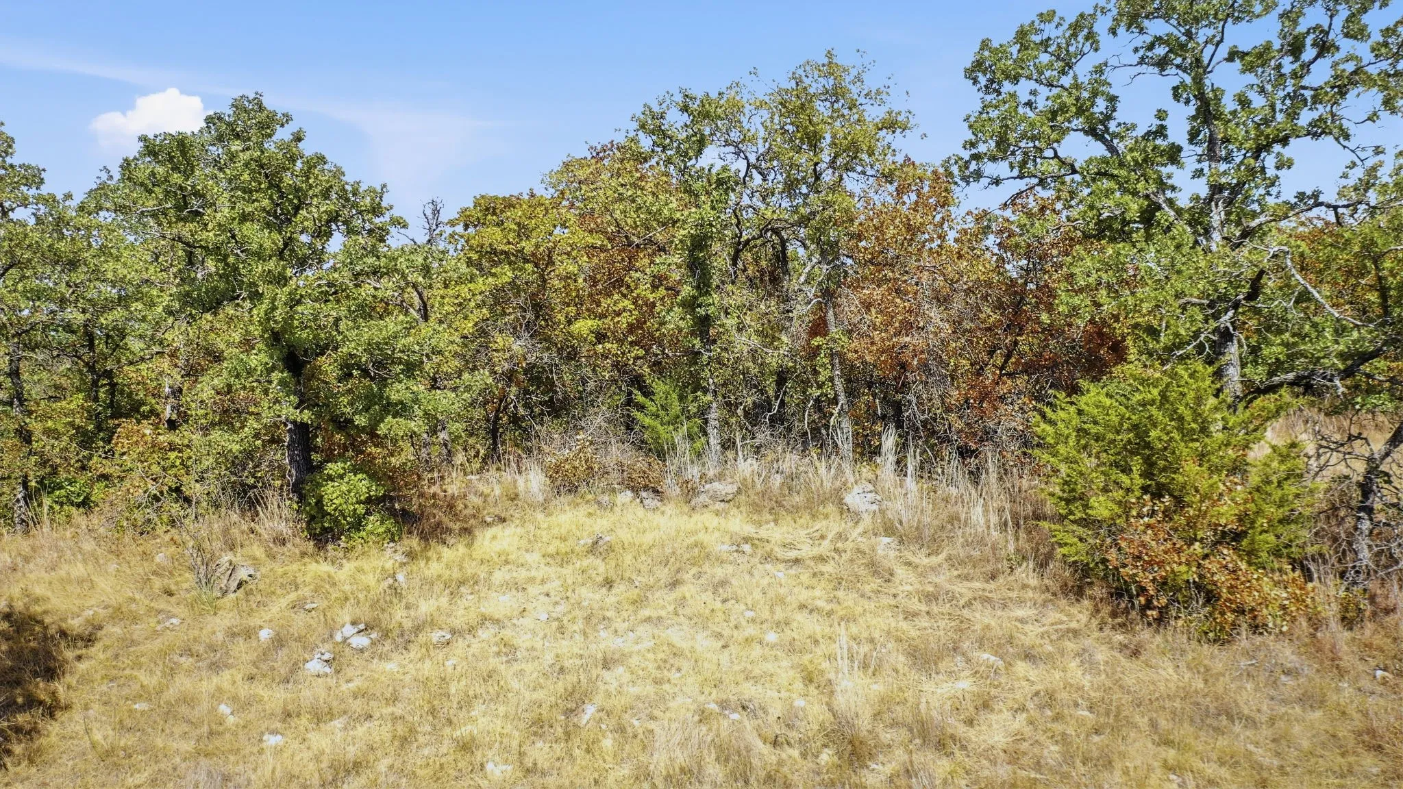 Unimproved Land For Sale in Montague County , 000 Red Oak Hills Road, Nocona, Texas 76255, 0, 0, Garage spaces, 0 Sqft, built in 0, mls#21390942, Real Estate Agent in Nocona, Homes For Sale in Montague county, Homes For Sale in Nocona, Realtor in Nocona Texas, Real Estate Brokerage Independent Realty Texas, Luminita Cordes Realtor