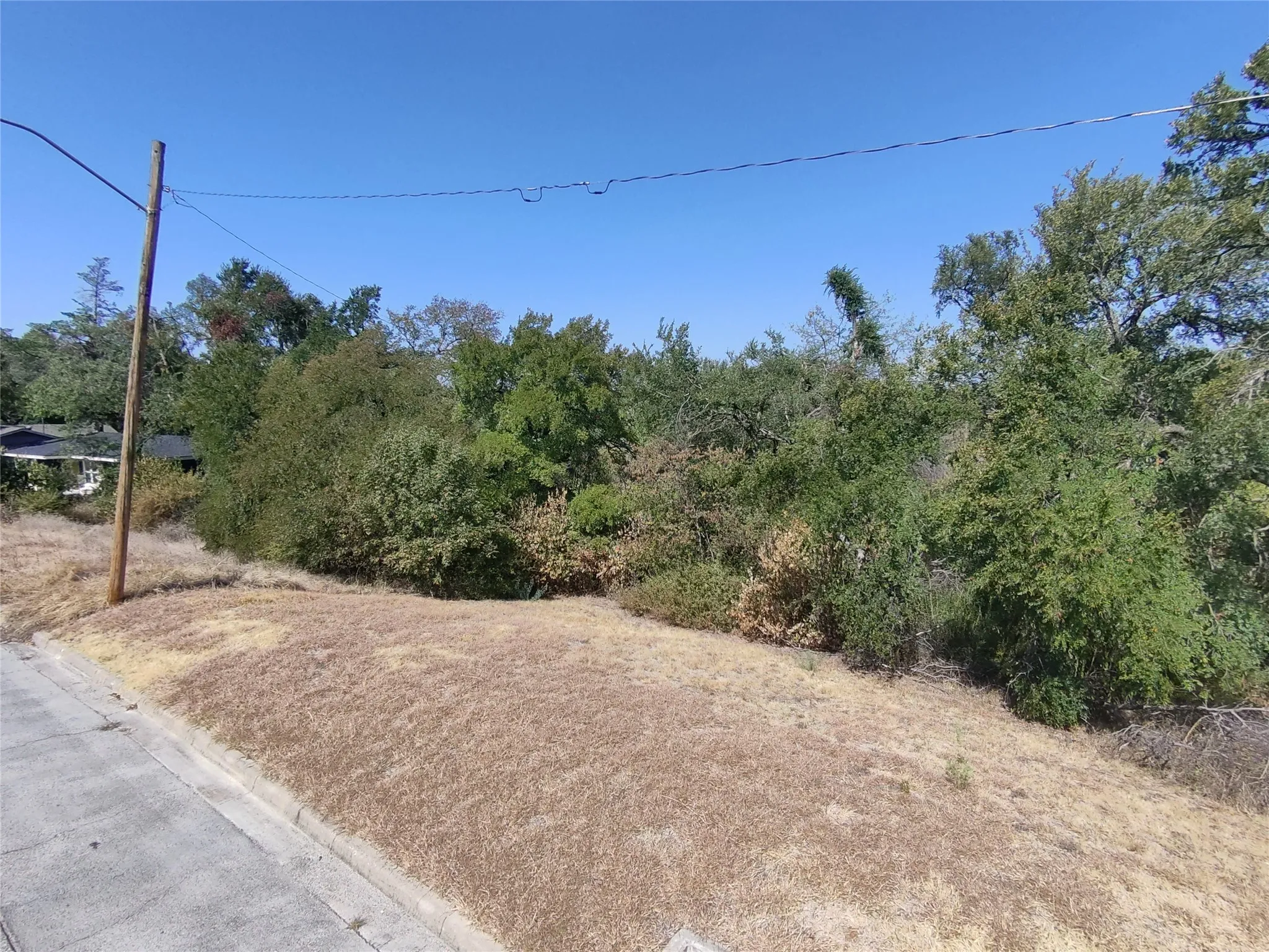 Expansive lot featuring mature trees and a clear sky