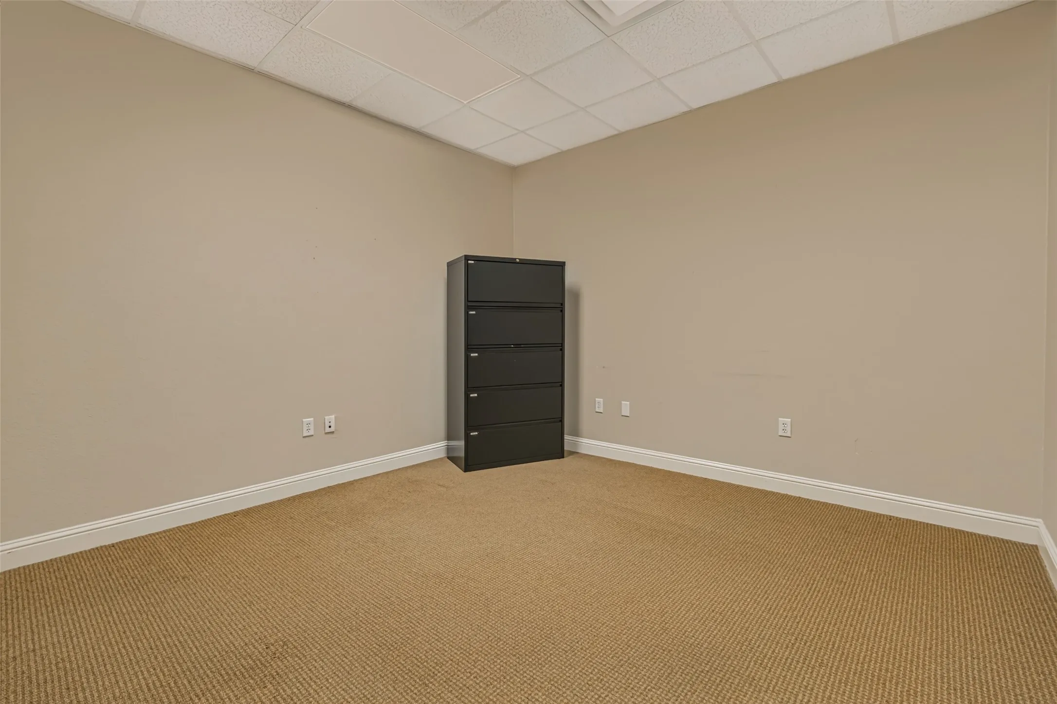 Neutral wall tones and textured carpet flooring