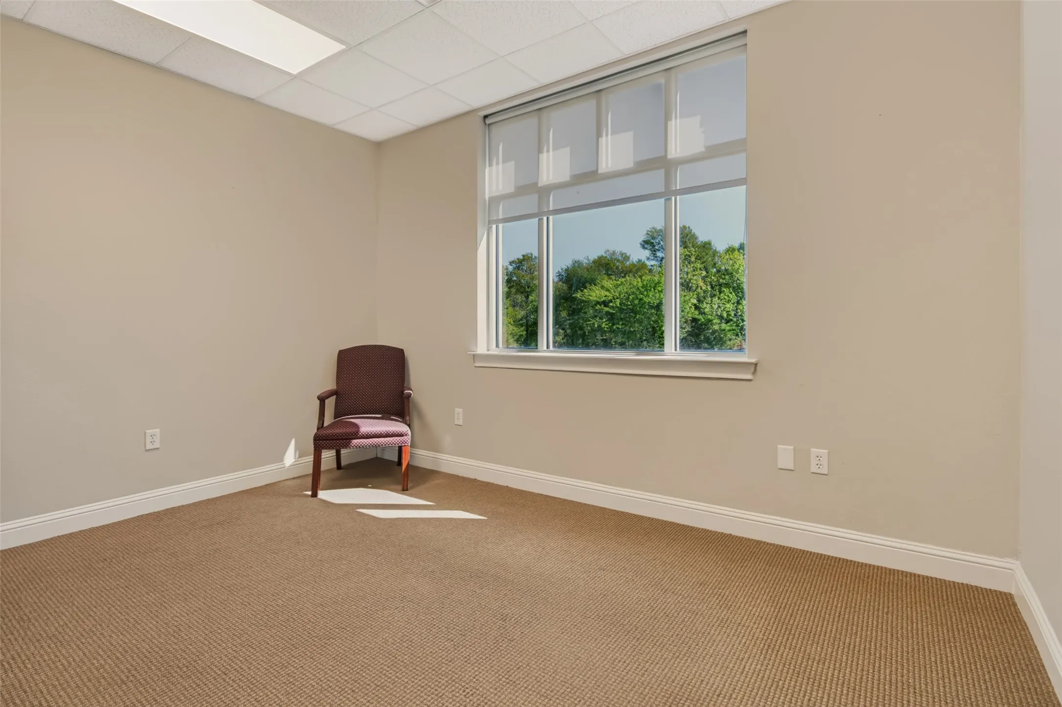 Carpeted flooring with neutral wall paint, white trim, and a large window