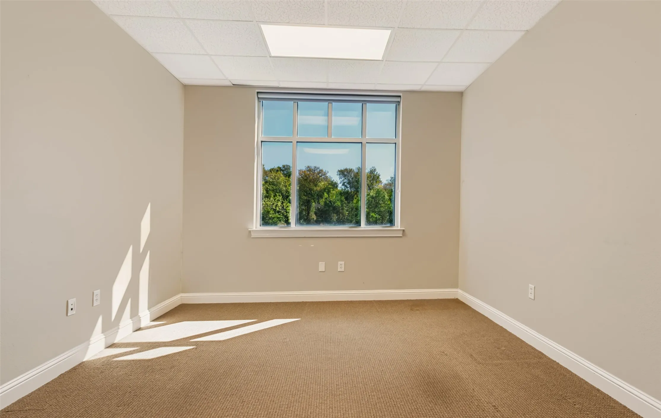 Neutral wall paint, carpet flooring, a large window with multiple panes, and a drop ceiling with recessed lighting