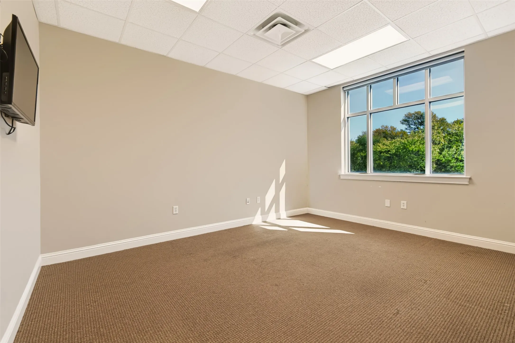 Carpeted flooring, expansive windows, drop ceiling with integrated lighting, wall-mounted television bracket, and neutral-toned walls