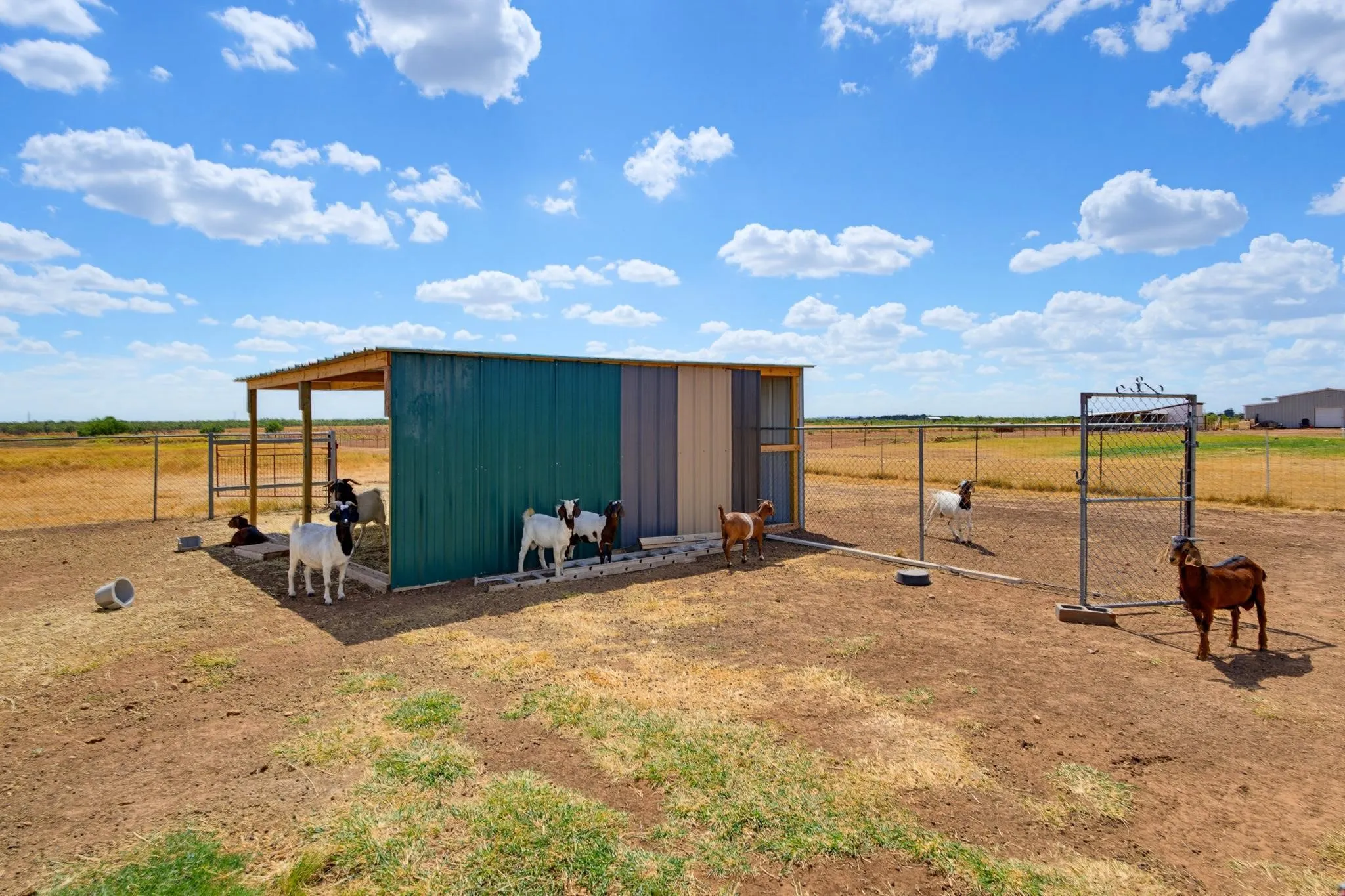 Single Family Residence For Sale in Taylor County , 8369 Spinks Road, Abilene, Texas 79603, 2 Bedroom, 2 Bathroom, Garage spaces, 1,400 Sqft, built in 2022, mls#21392589, Real Estate Agent in Abilene, Homes For Sale in Taylor county, Homes For Sale in Abilene, Realtor in Abilene Texas, Real Estate Brokerage Independent Realty Texas, Luminita Cordes Realtor