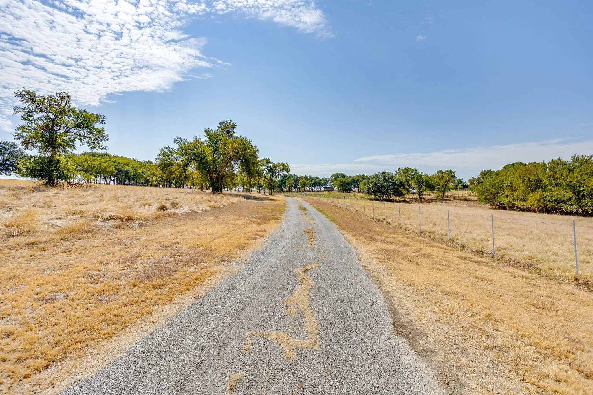 View of Private Driveway