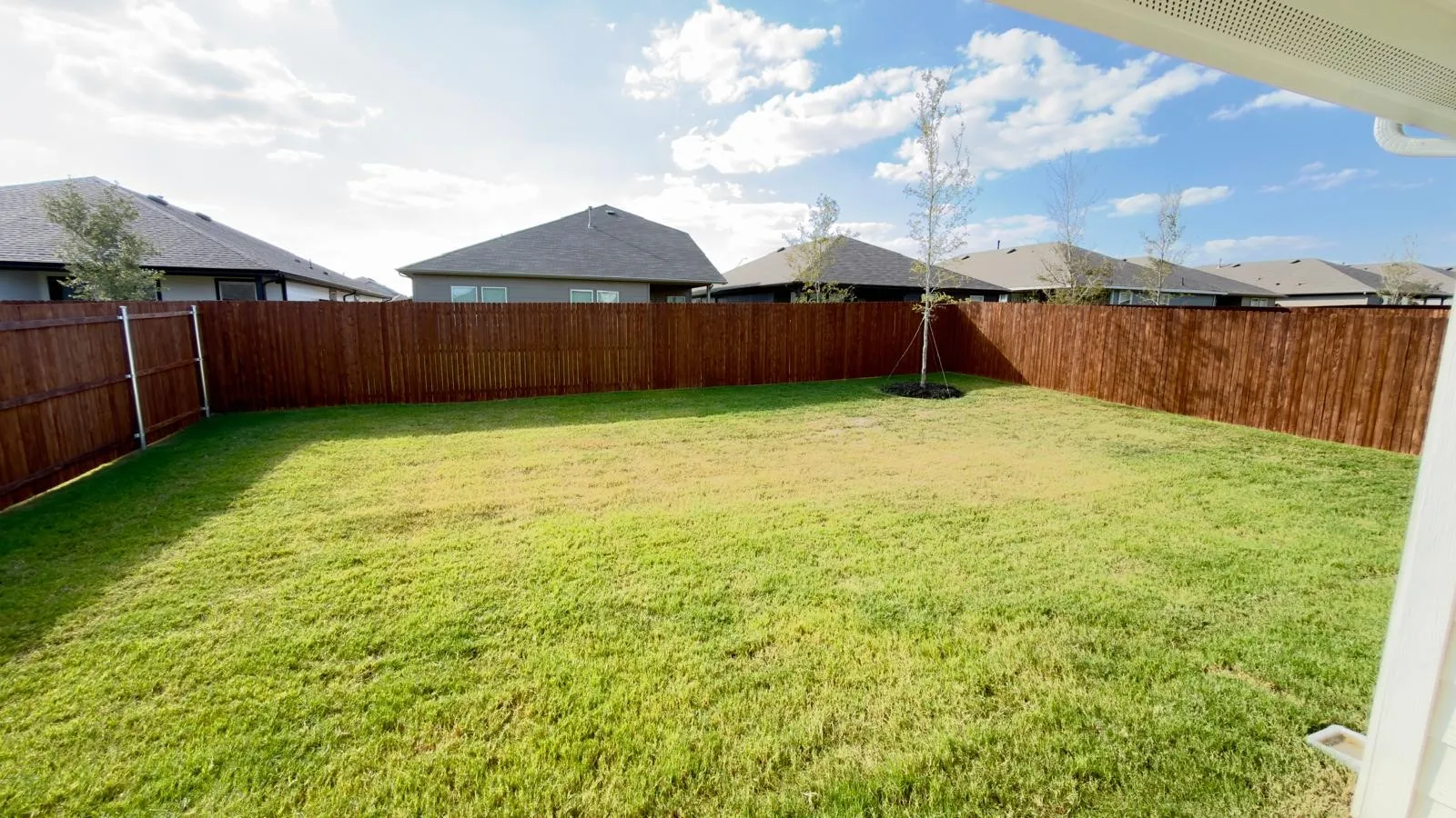 Single Family Residence For Rent in Denton County , 16625 LAGUNA VISTA Street, Fort Worth, Texas 76247, 4 Bedroom, 2 Bathroom, 1 Garage spaces, 1,614 Sqft, built in 2026, mls#21392339, Real Estate Agent in Fort Worth, Homes For Rent in Denton county, Homes For Rent in Fort Worth, Realtor in Fort Worth Texas, Real Estate Brokerage Independent Realty Texas, Luminita Cordes Realtor