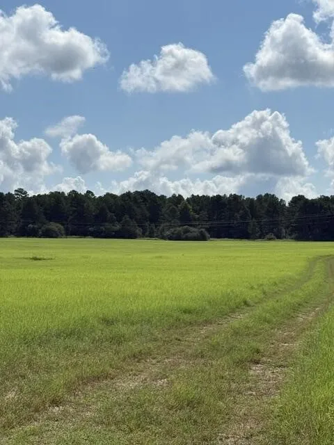 Unimproved Land For Sale in Anderson County , 0 An Cnounty Road 1231, Palestine, Texas 75801, 0, 0, Garage spaces, 0 Sqft, built in 0, mls#21392610, Real Estate Agent in Palestine, Homes For Sale in Anderson county, Homes For Sale in Palestine, Realtor in Palestine Texas, Real Estate Brokerage Independent Realty Texas, Luminita Cordes Realtor