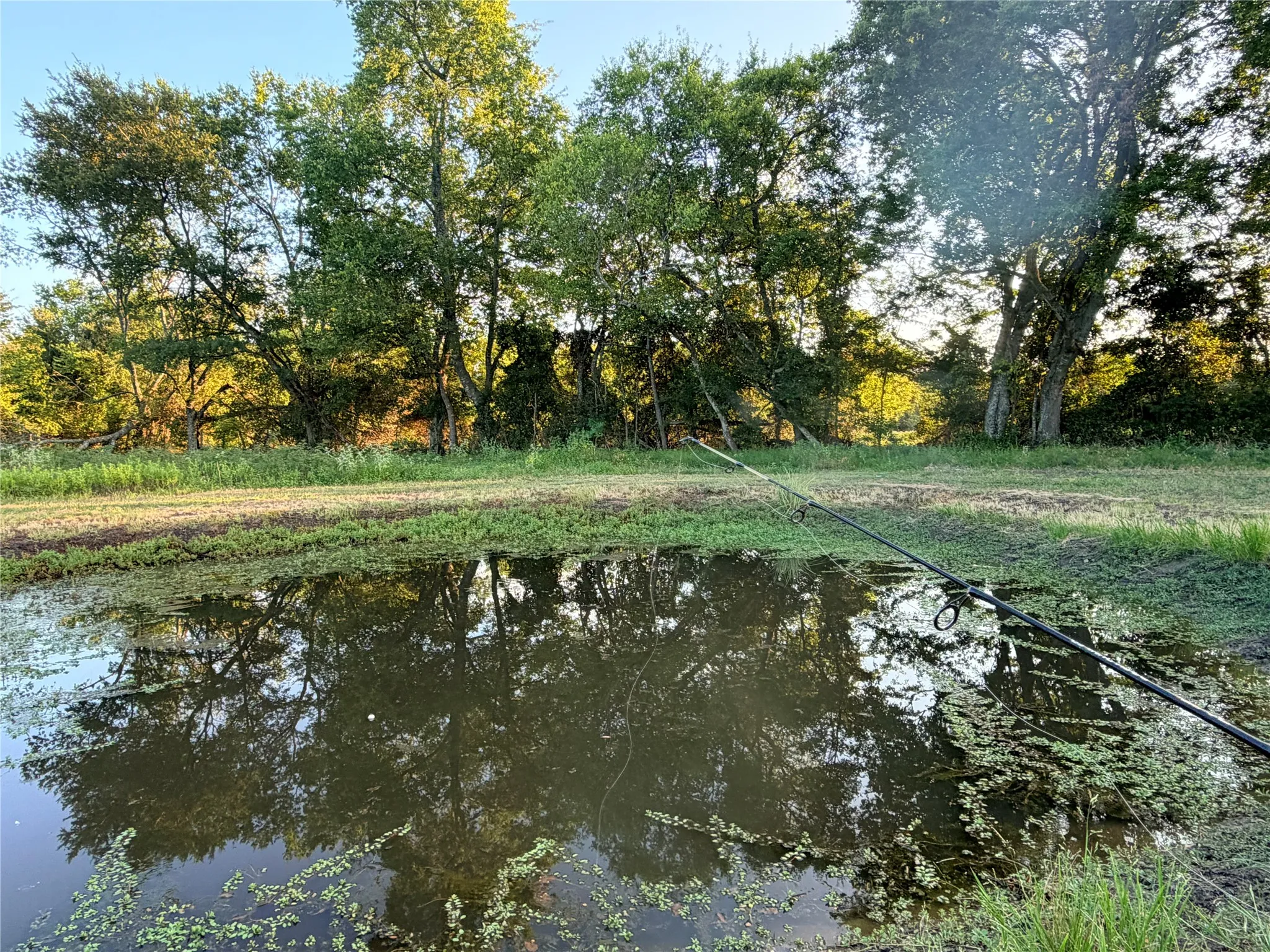 Single Family Residence For Sale in Van Zandt County , 357 Private Road 7782, Wills Point, Texas 75169, 5 Bedroom, 3 Bathroom, Garage spaces, 2,008 Sqft, built in 2025, mls#21391935, Real Estate Agent in Wills Point, Homes For Sale in Van Zandt county, Homes For Sale in Wills Point, Realtor in Wills Point Texas, Real Estate Brokerage Independent Realty Texas, Luminita Cordes Realtor