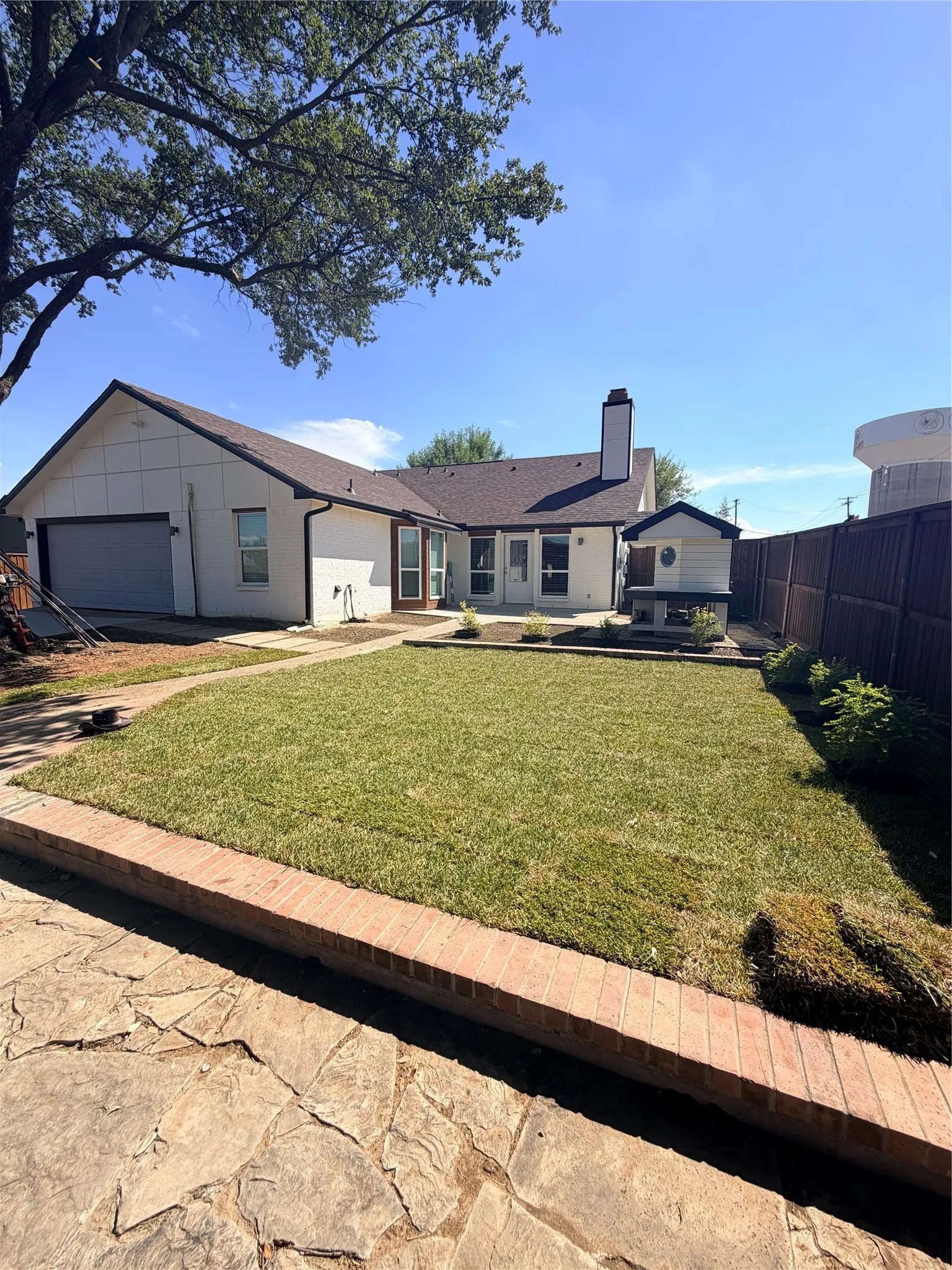 backyard sod