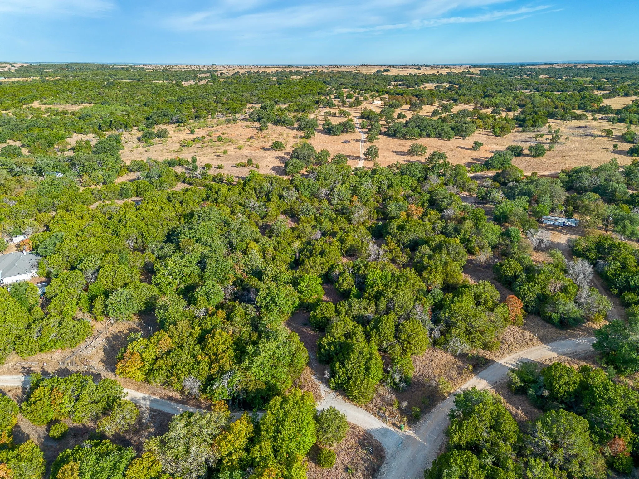 Expansive property featuring abundant mature trees, natural terrain, and multiple unpaved access roads