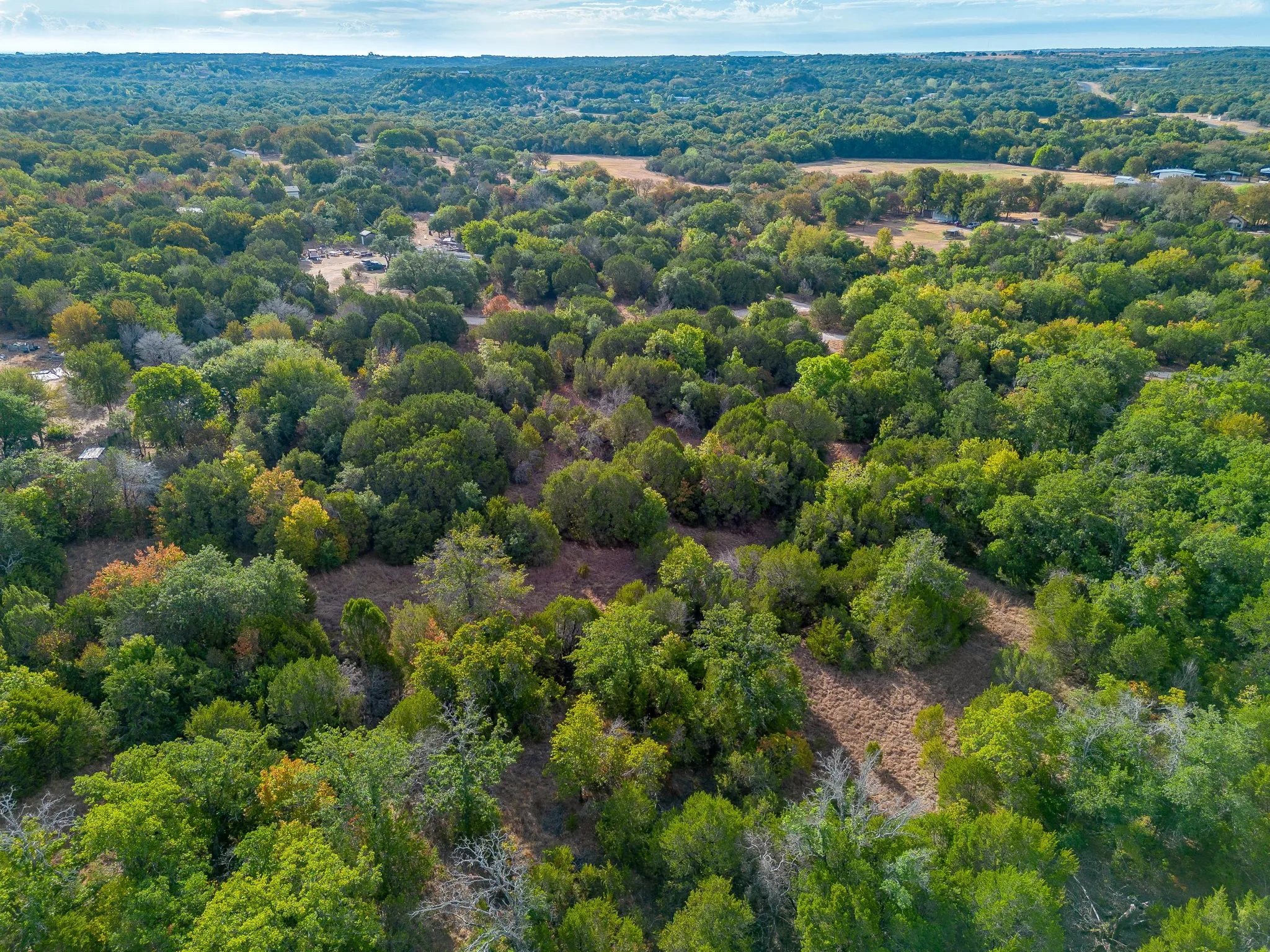 Expansive acreage with abundant mature trees and varied foliage