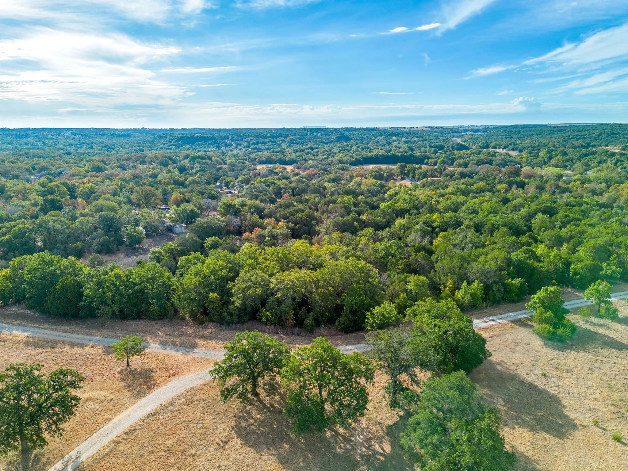Extensive wooded acreage with mature trees